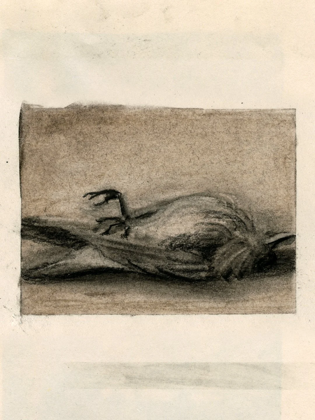 25. oiseau.jpg