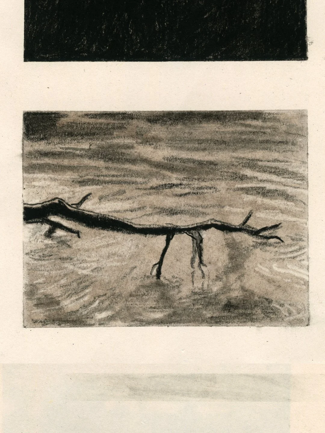 17. branche_eau.jpg