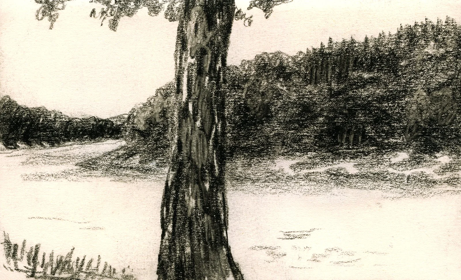 panneciere_pn_full.jpg