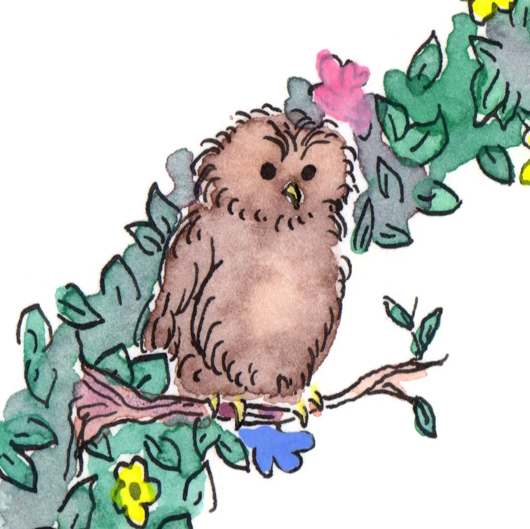 hibou.jpg