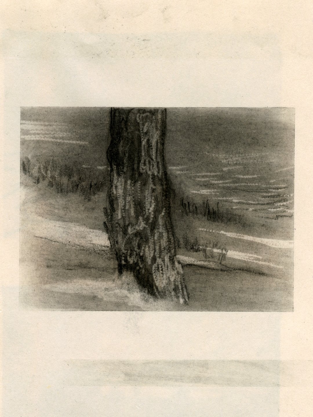 9. arbre_plage.jpg