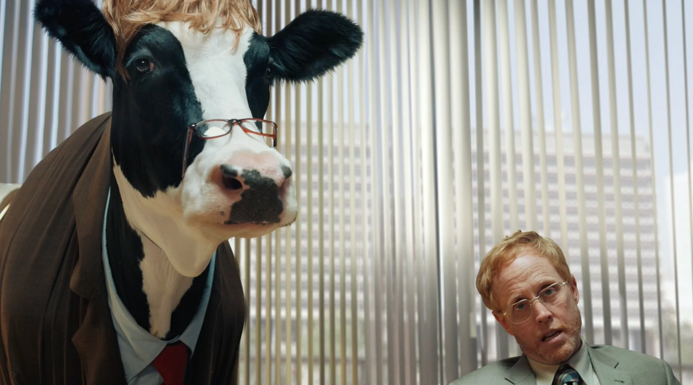 The Cows