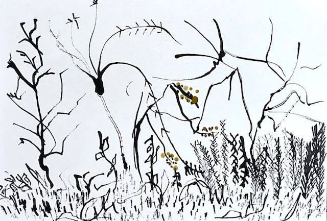 Cyfres Gaeaf Adre // Welsh Winter Series // 2026 // Ink and Turmeric // 21cm x 29.7cm 