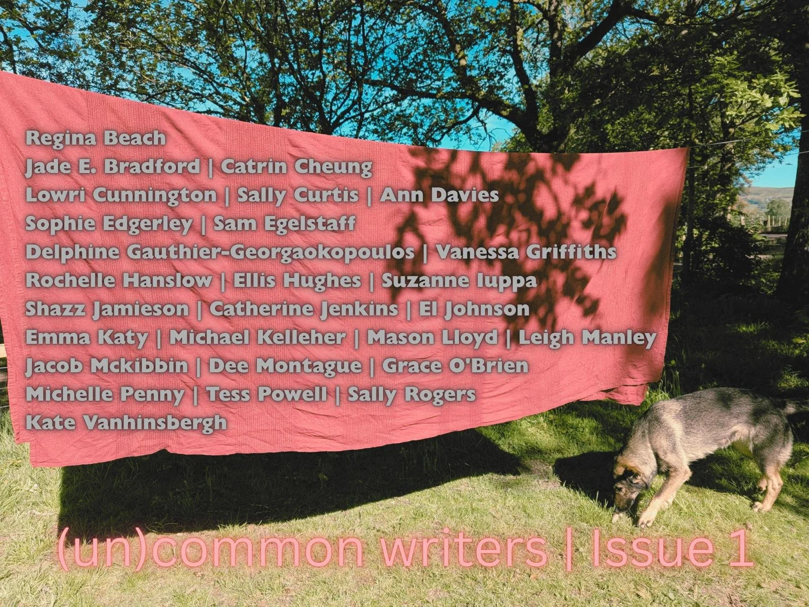 (un)common issue 1 // (an)arferol rhifyn 1 2026