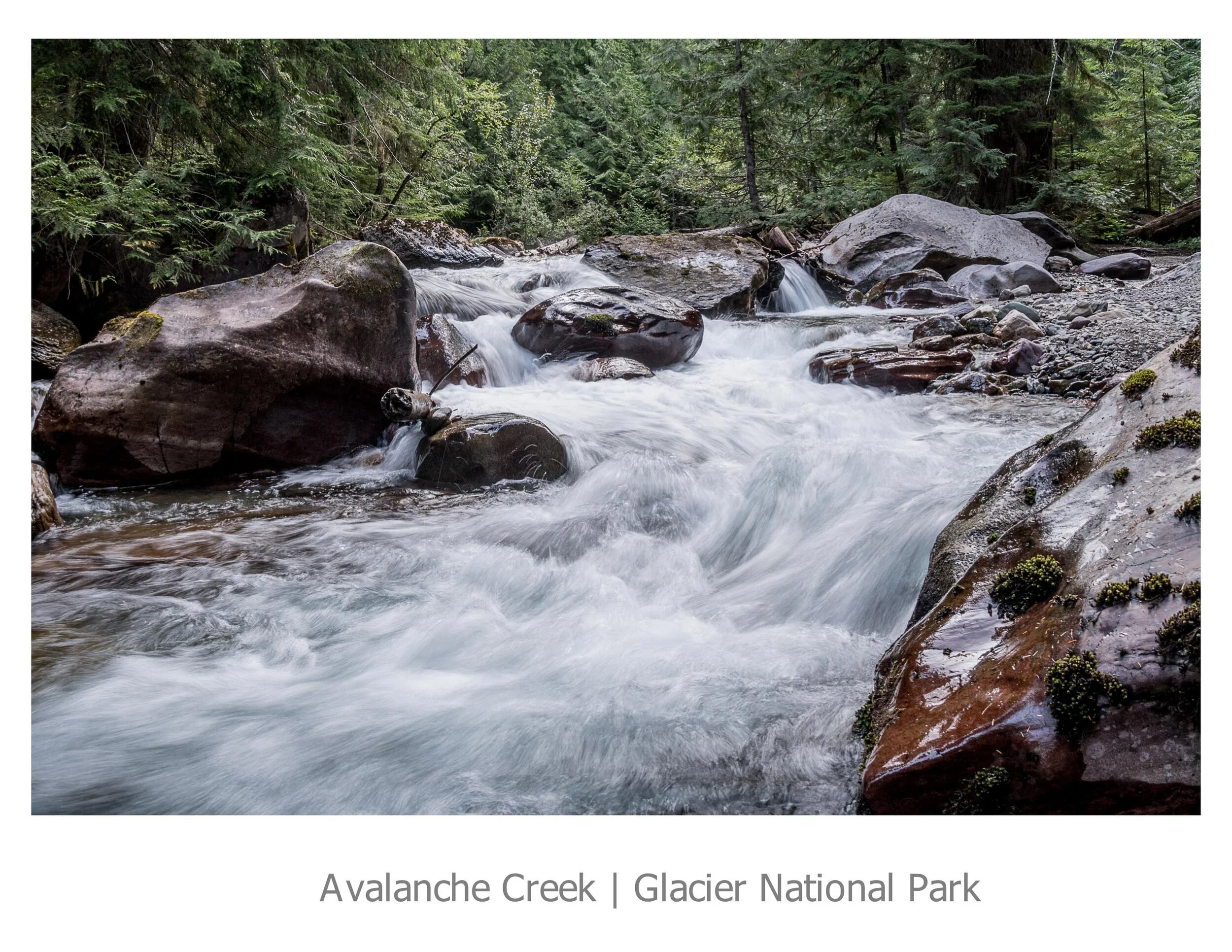 Avalanche Creek - Glacier 2020.jpg