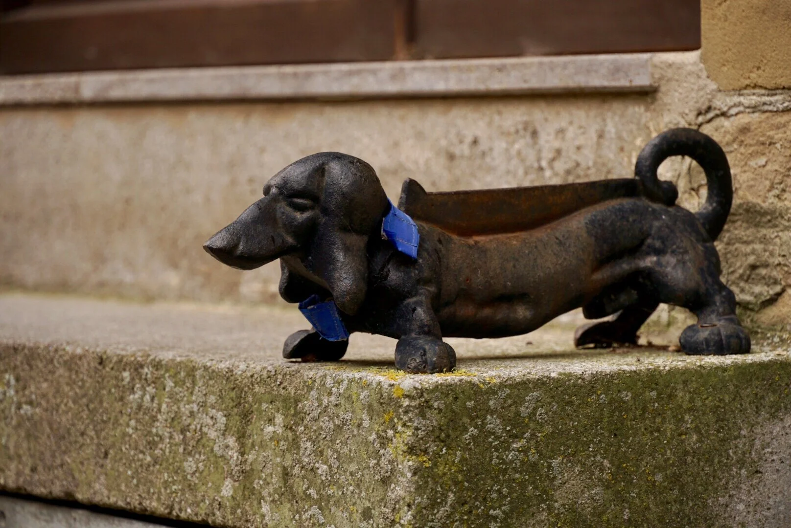 Dog Boot Scraper.jpg