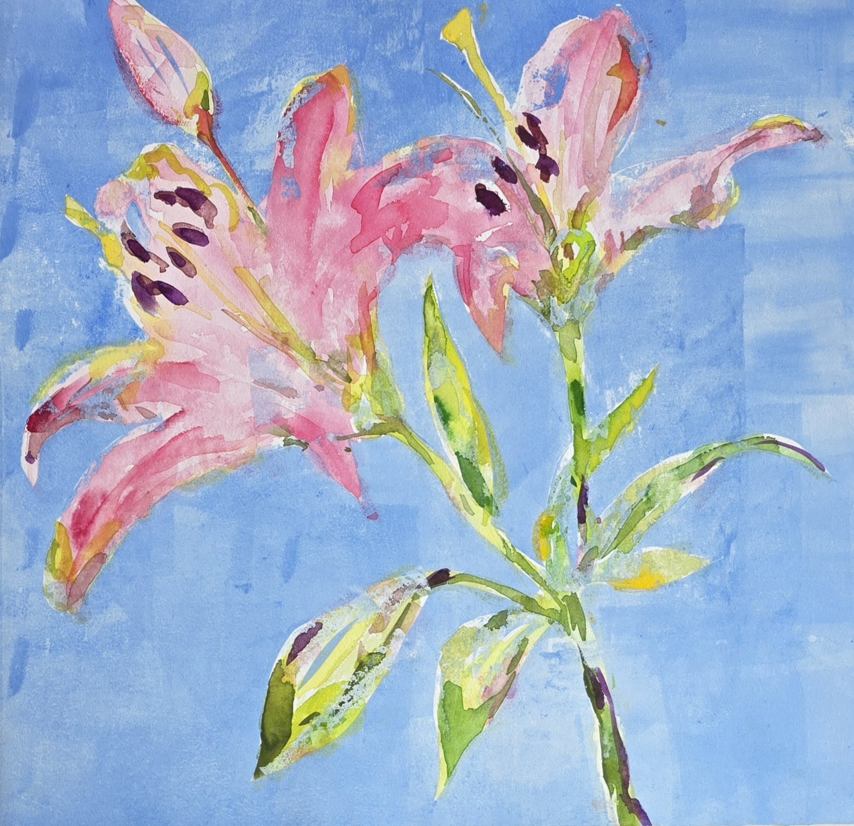 Double Lily on Periwinkle