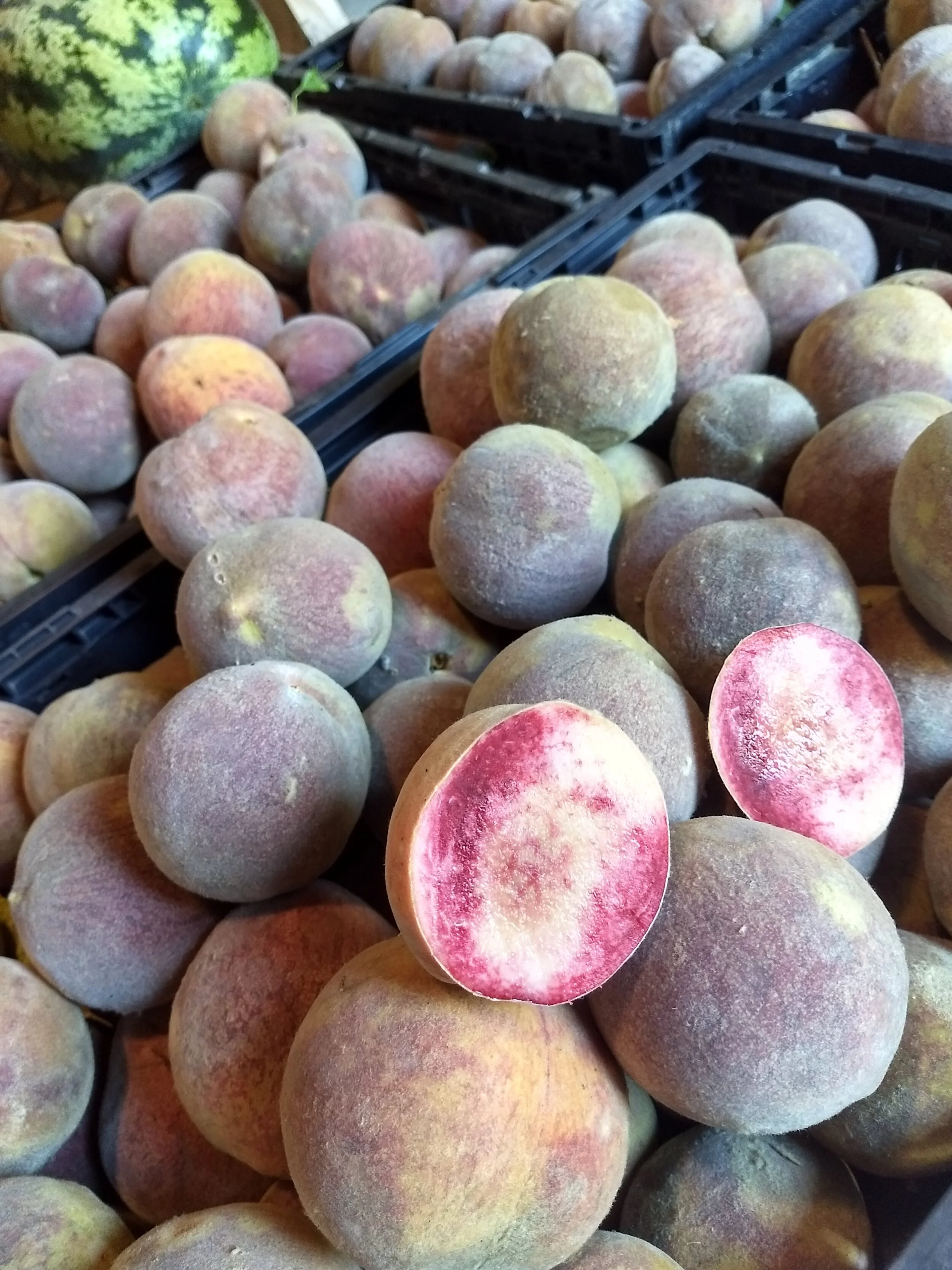 Products — Stonybrook Canyon Farm