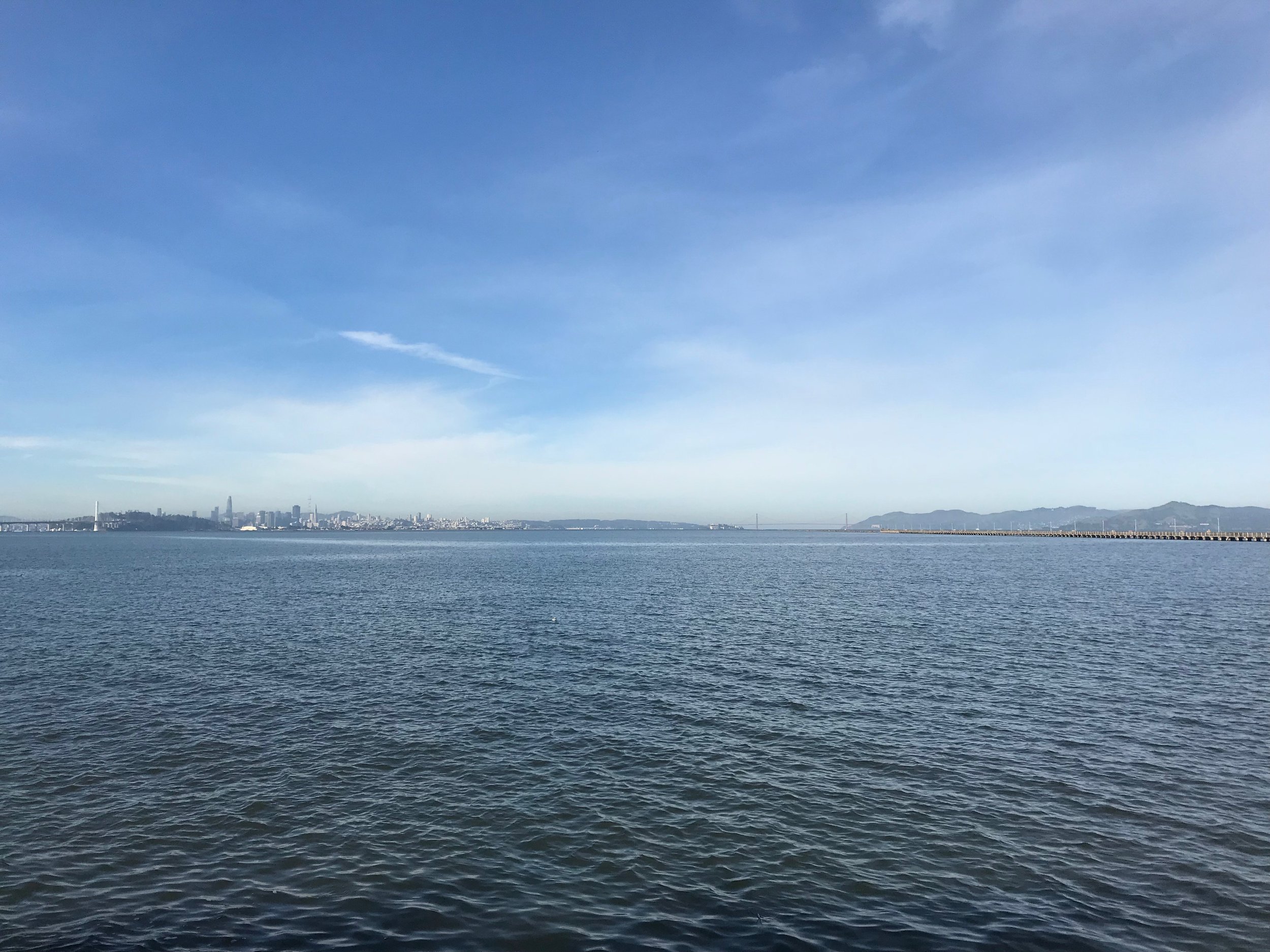 Swim San Francisco Bay Berkely View.jpeg