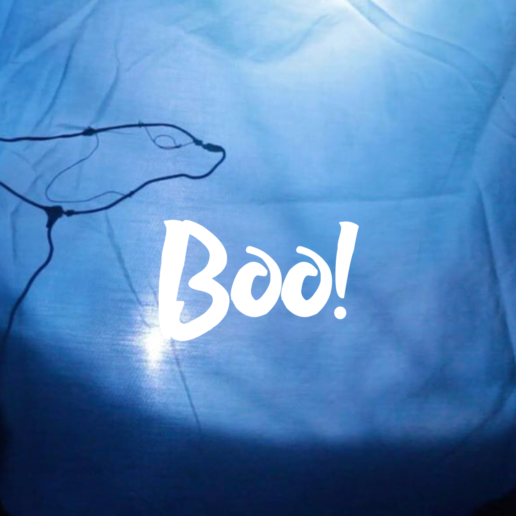 Boo! - A Shadow Puppet Film