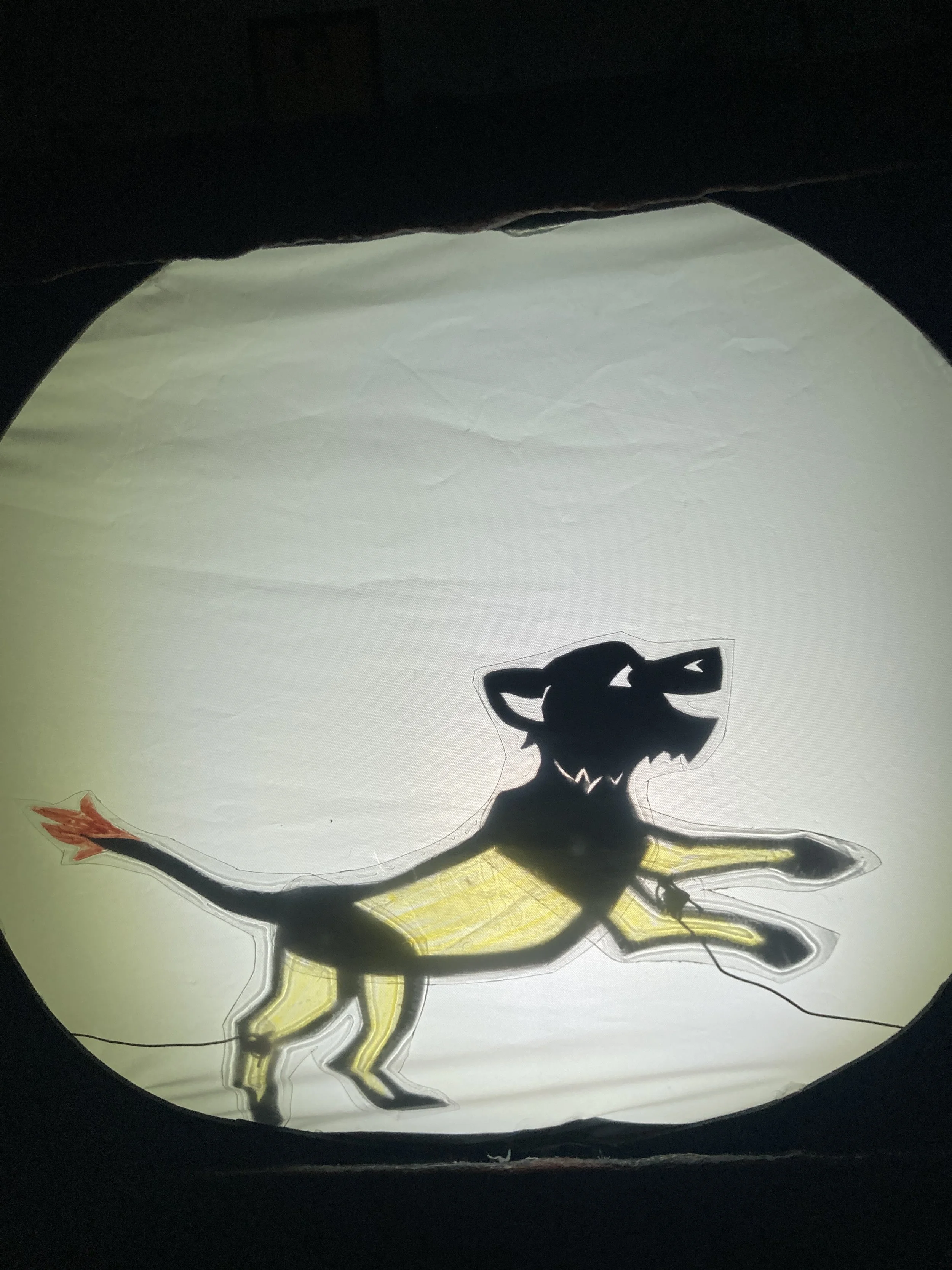 Alt Text:A shadow puppet golden lion cub running