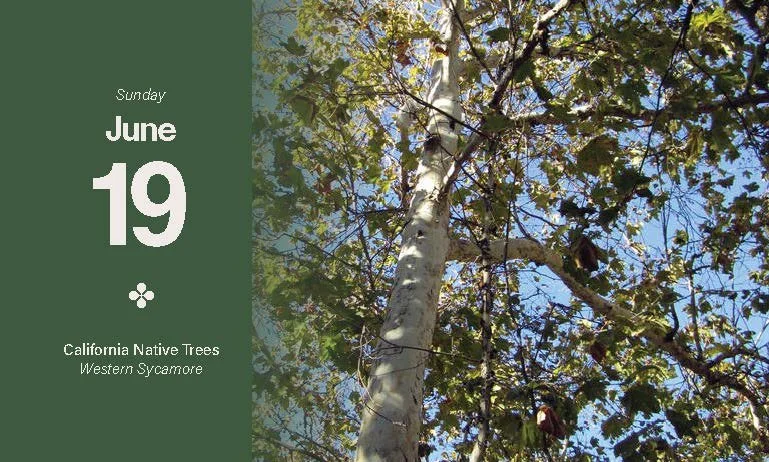 2022 Calendar_Page_039.jpg