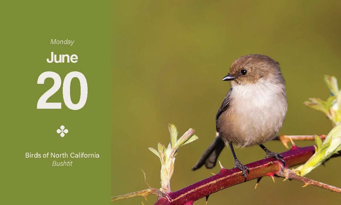 2022 Calendar_Page_041.jpg