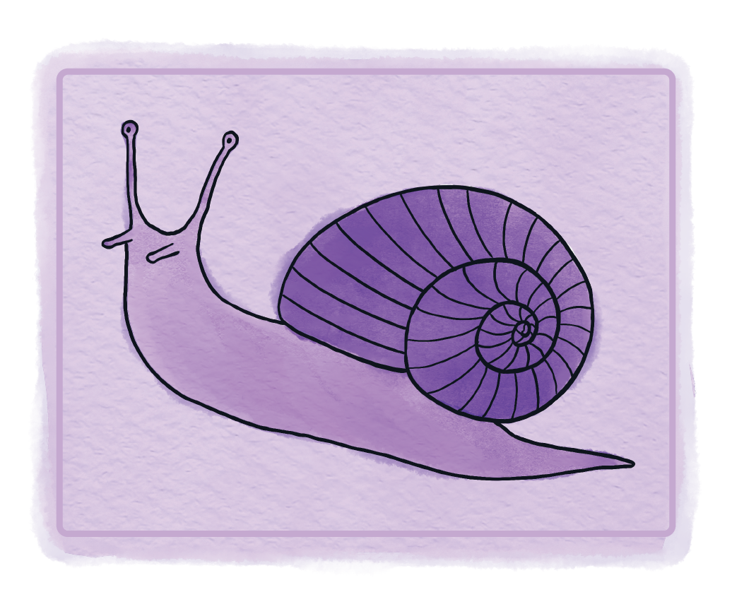 Snails background illustration.png