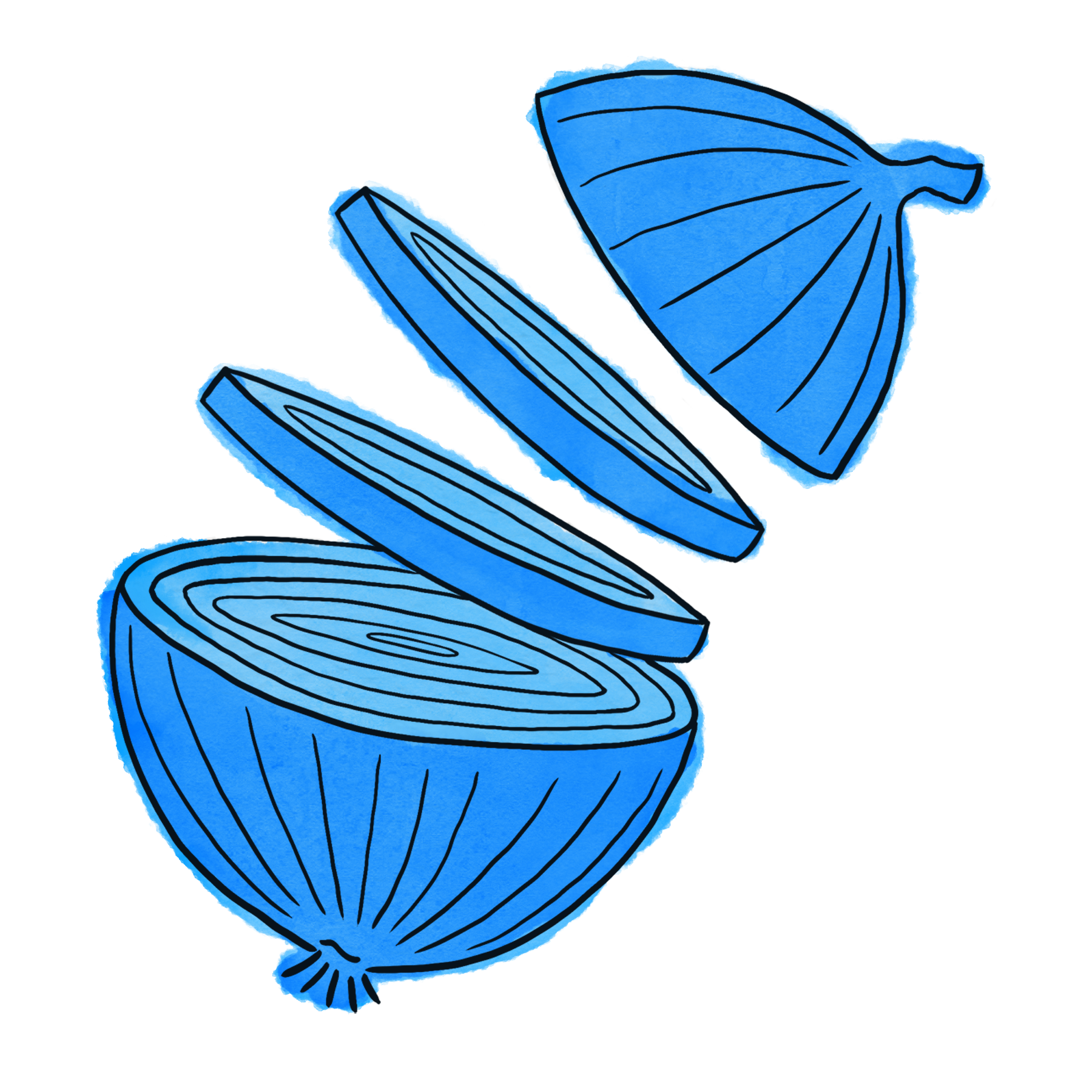Onions.png