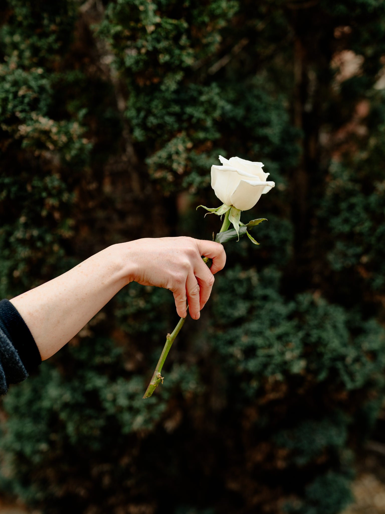 Plantology Jan 2025-178.jpg