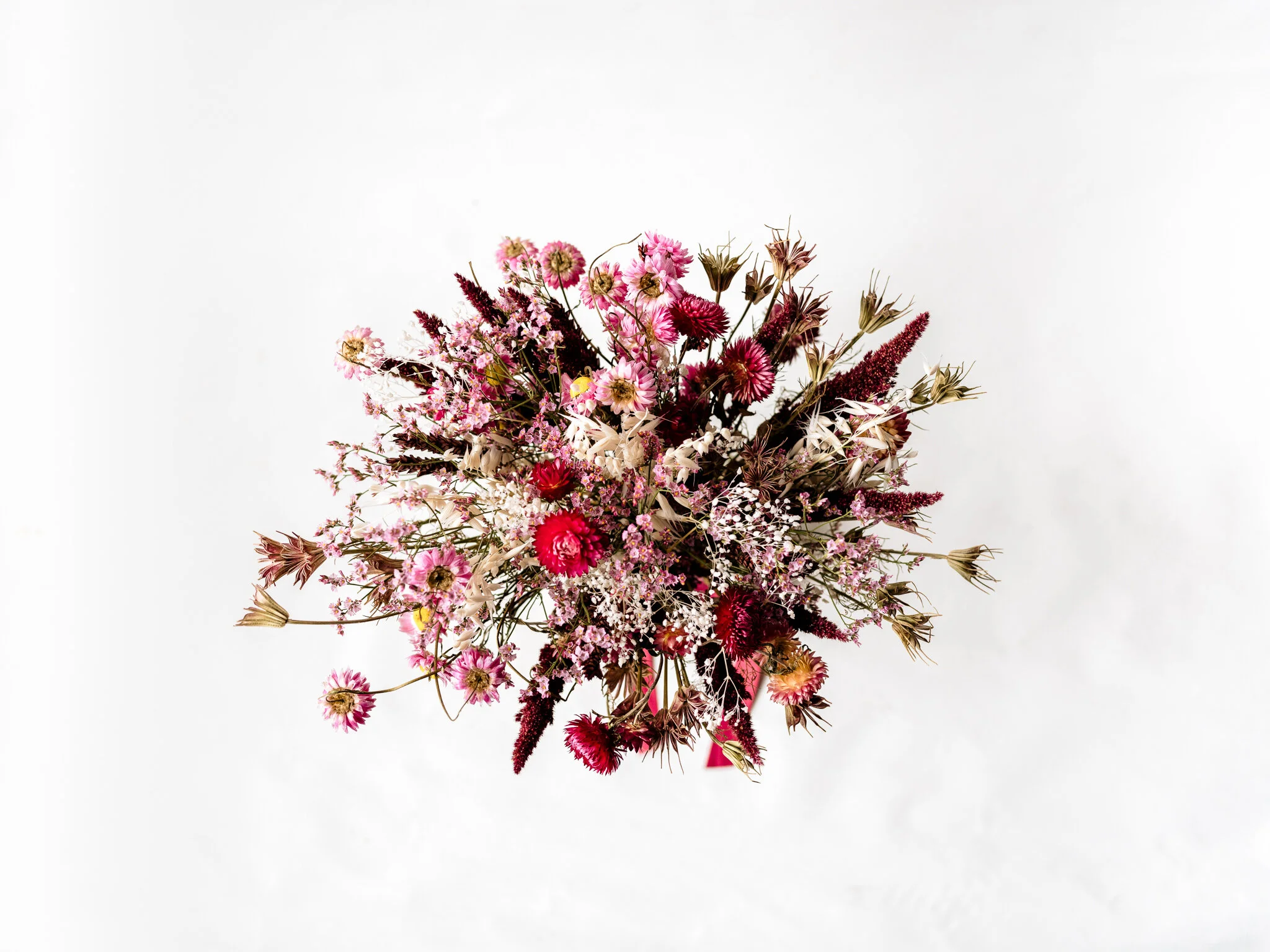 Plantology - Valentines-My first My last My everything 6.jpg