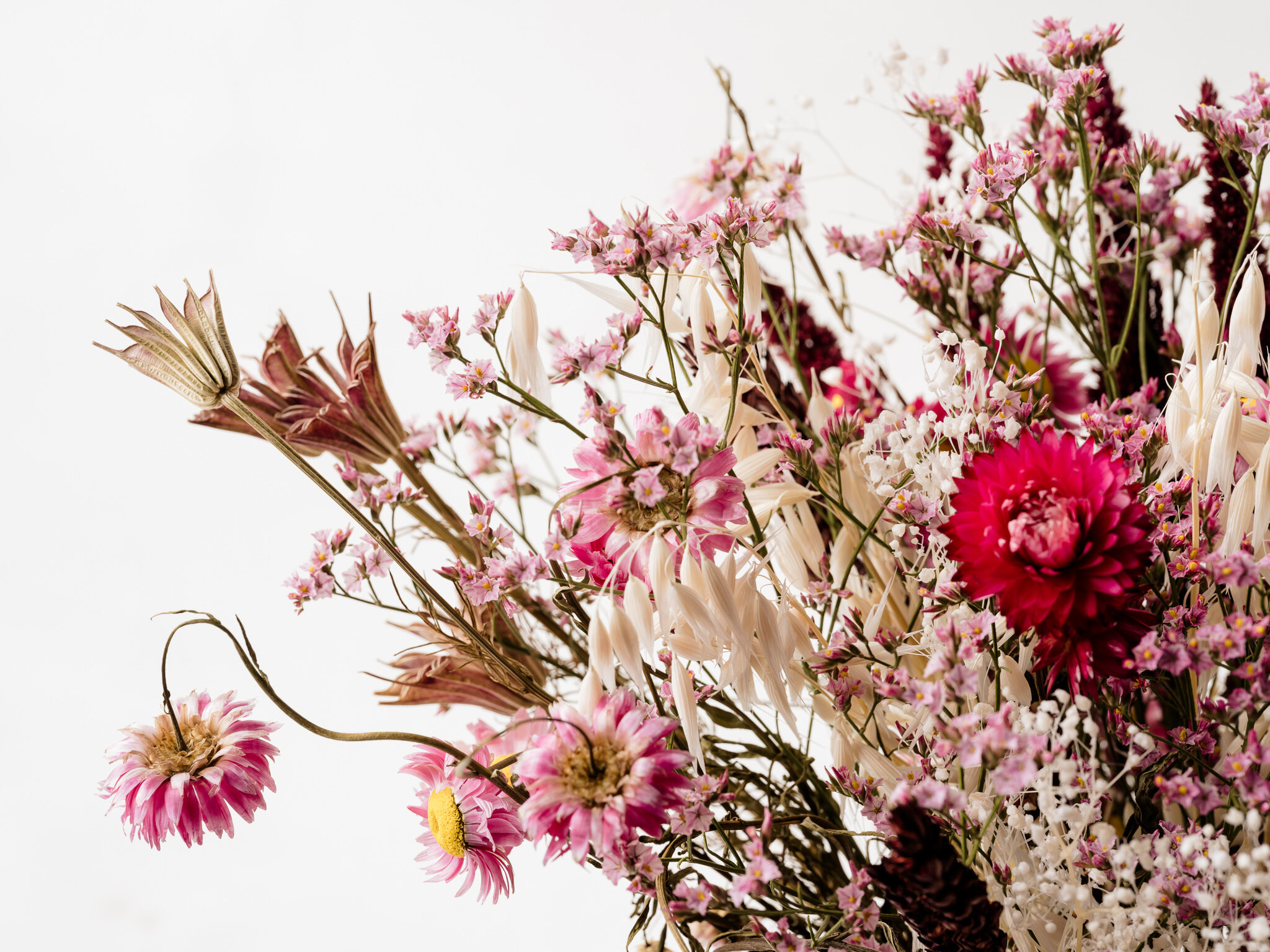 Plantology - Valentines-My First My Last My Everything 1.jpg