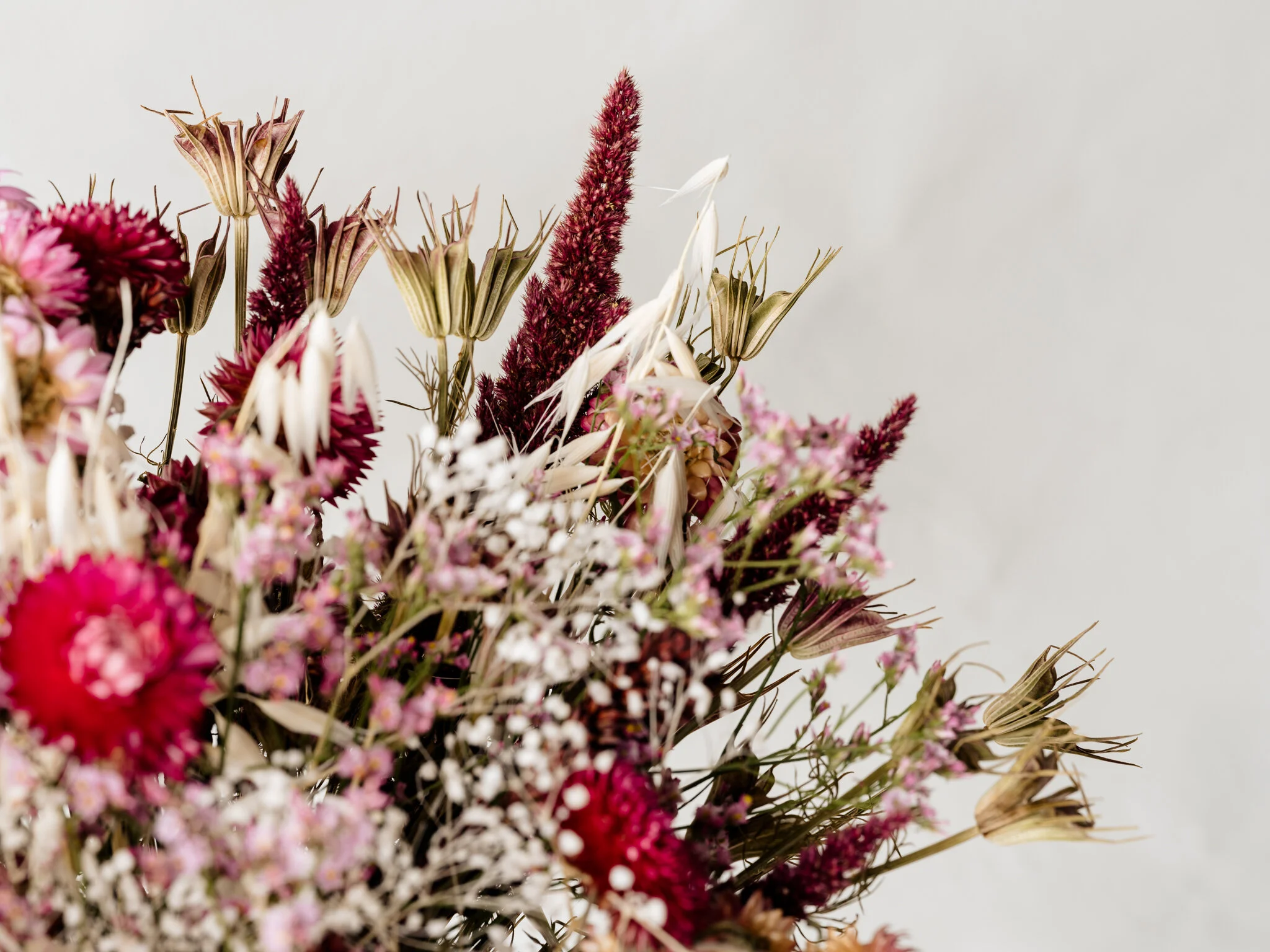 Plantology - Valentines- My First My Last My Everything (2).jpg