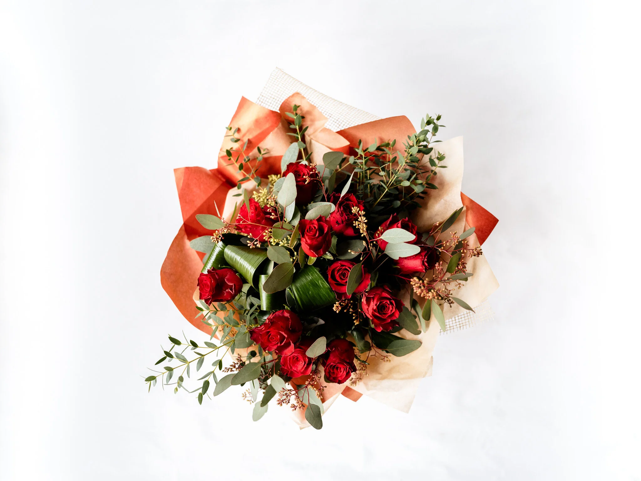 Plantology - Valentines-Endless Love 4.jpg