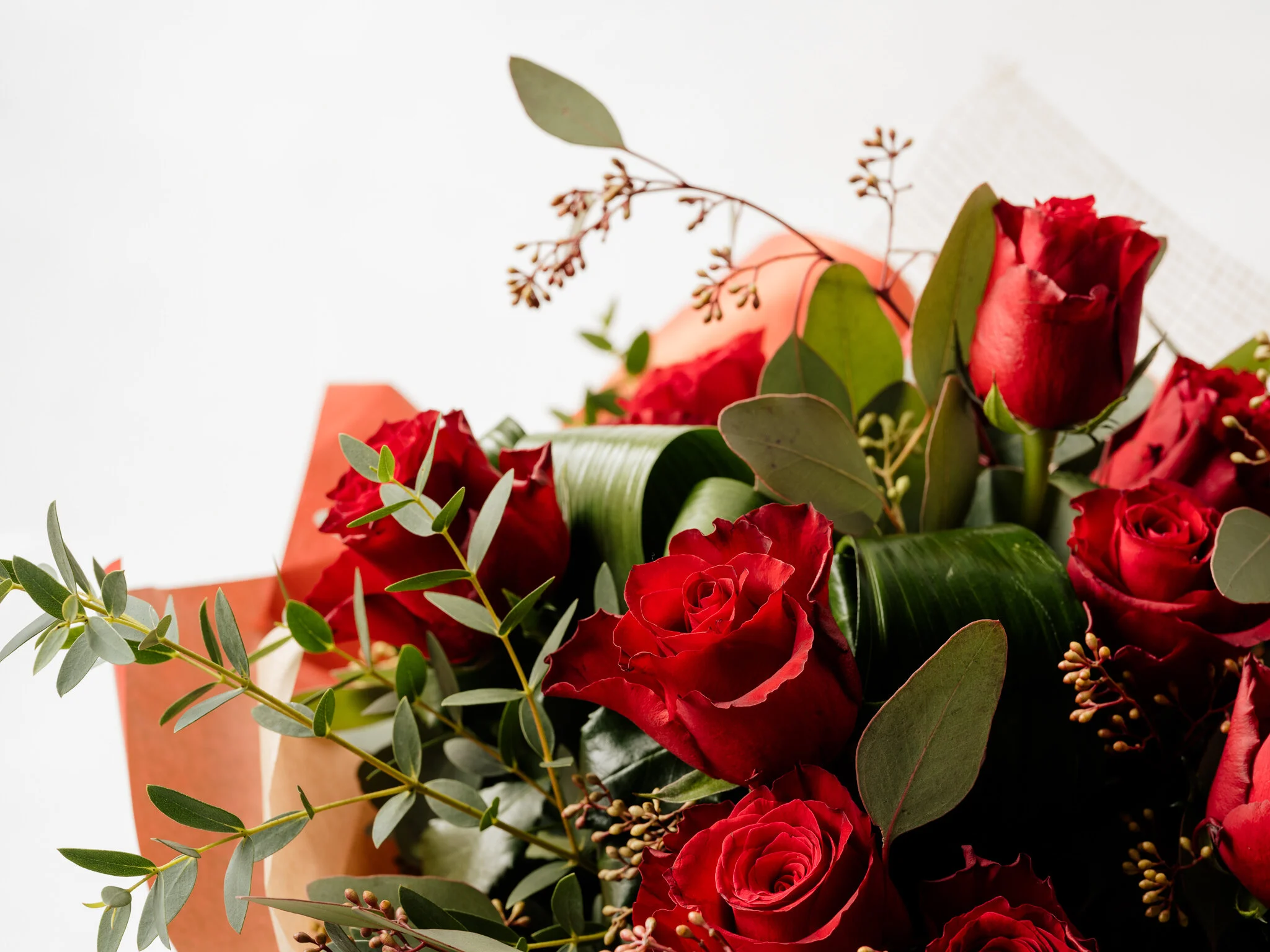 Plantology - Valentines-Endless Love 2.jpg