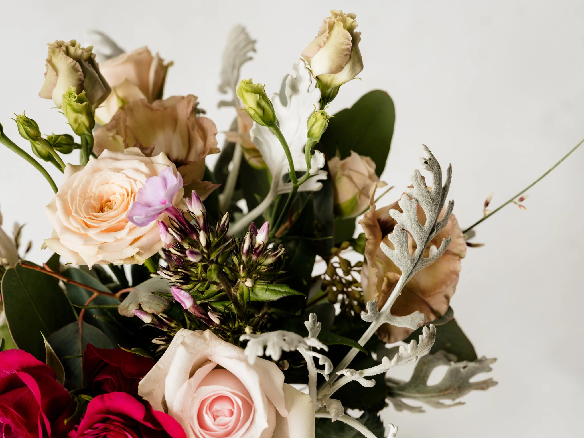 Plantology - Valentines-Be mine 2.jpg