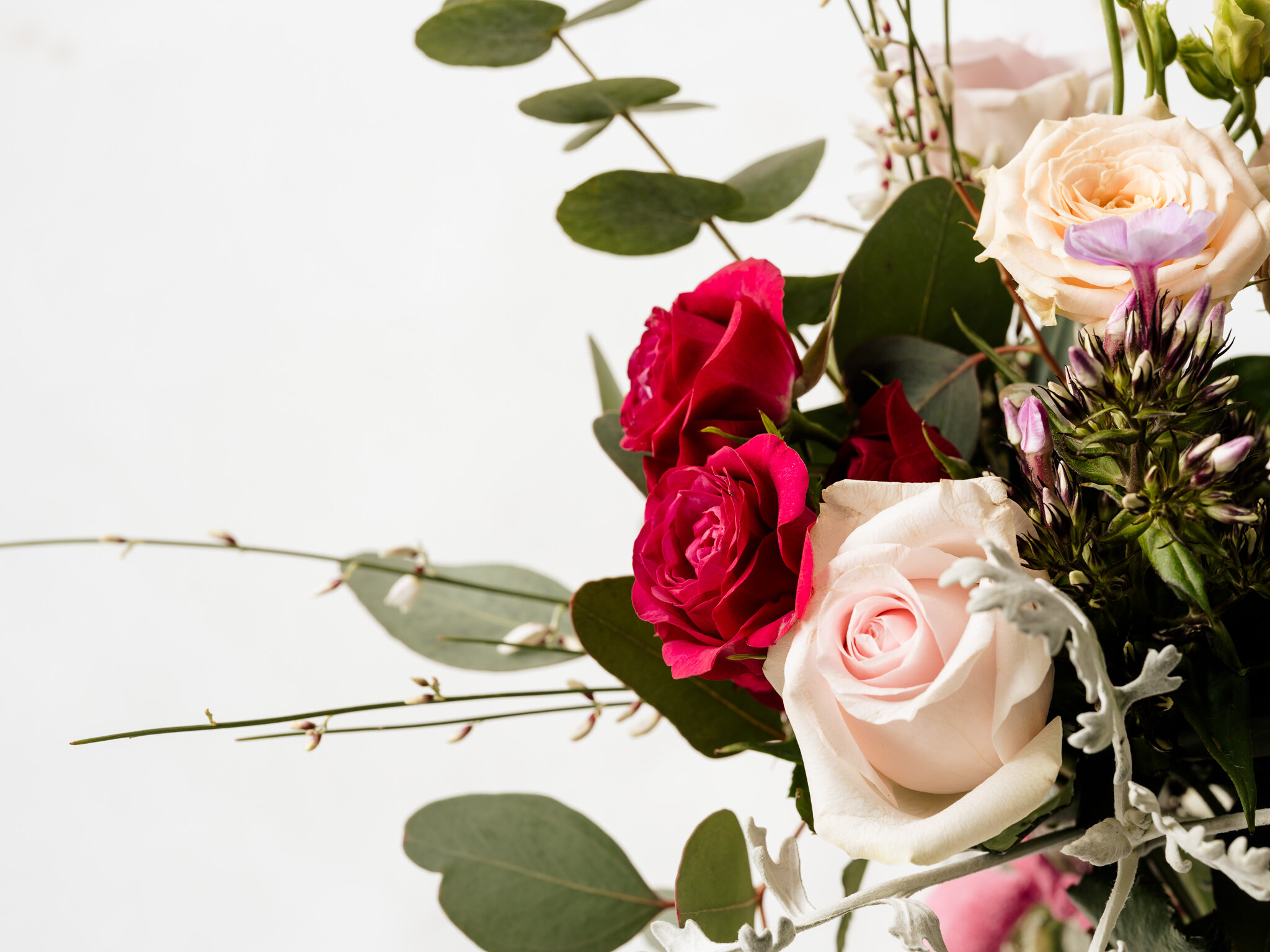 Plantology - Valentines-Be mine 1.jpg