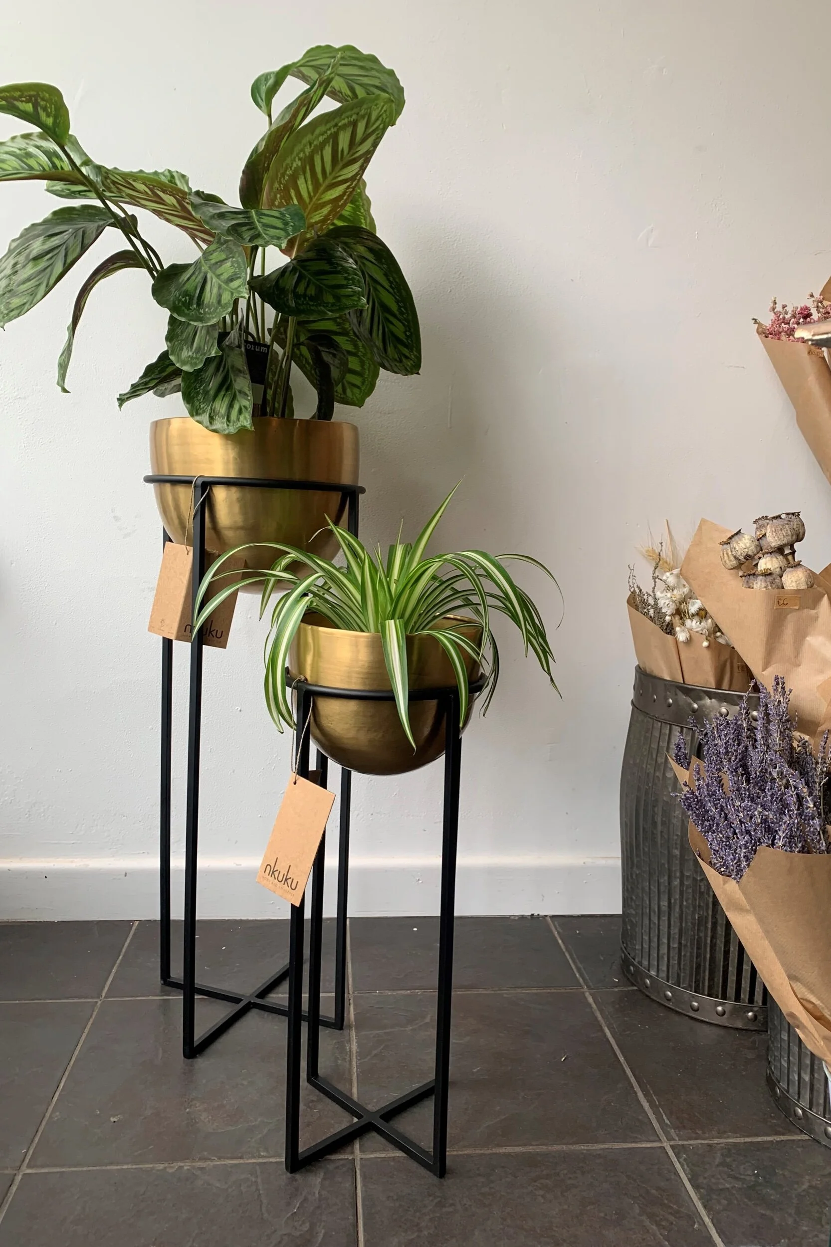 3859AA4B-7D24-427B-843E-BE334403B31F