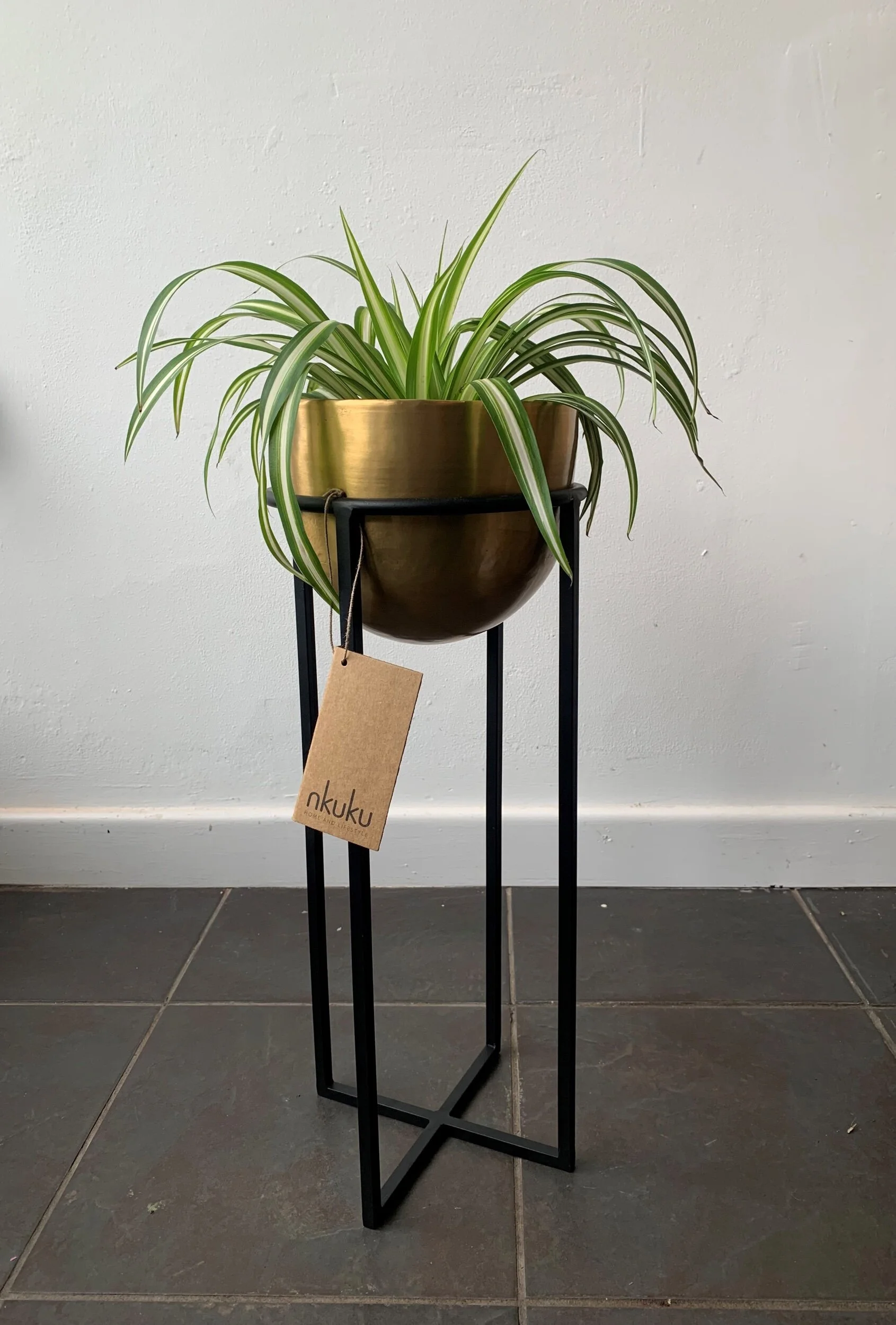 25594CC7-C586-4C8B-98E0-397864080911