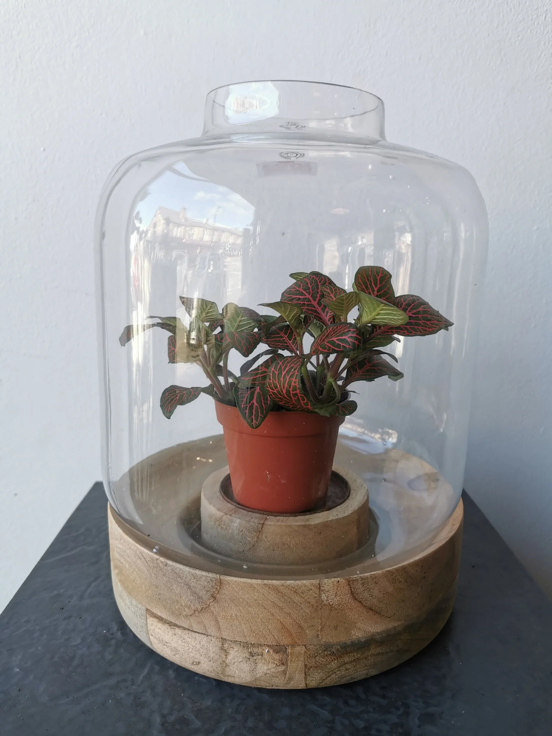 00E2C6B7-B01F-4739-BB53-9E2DB6BEE00D