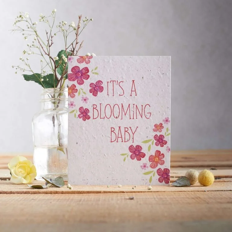 It's a blooming baby (Pink) Seed Card by Hannah Merchant