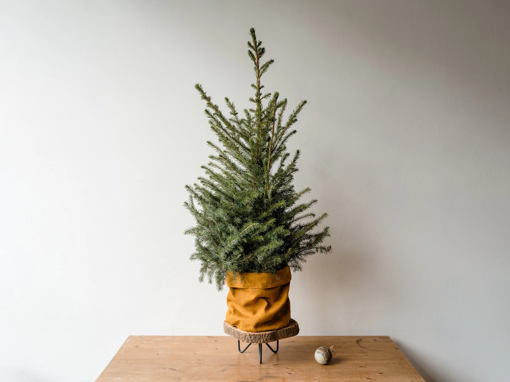 The Perfect Gift - Plant Bags