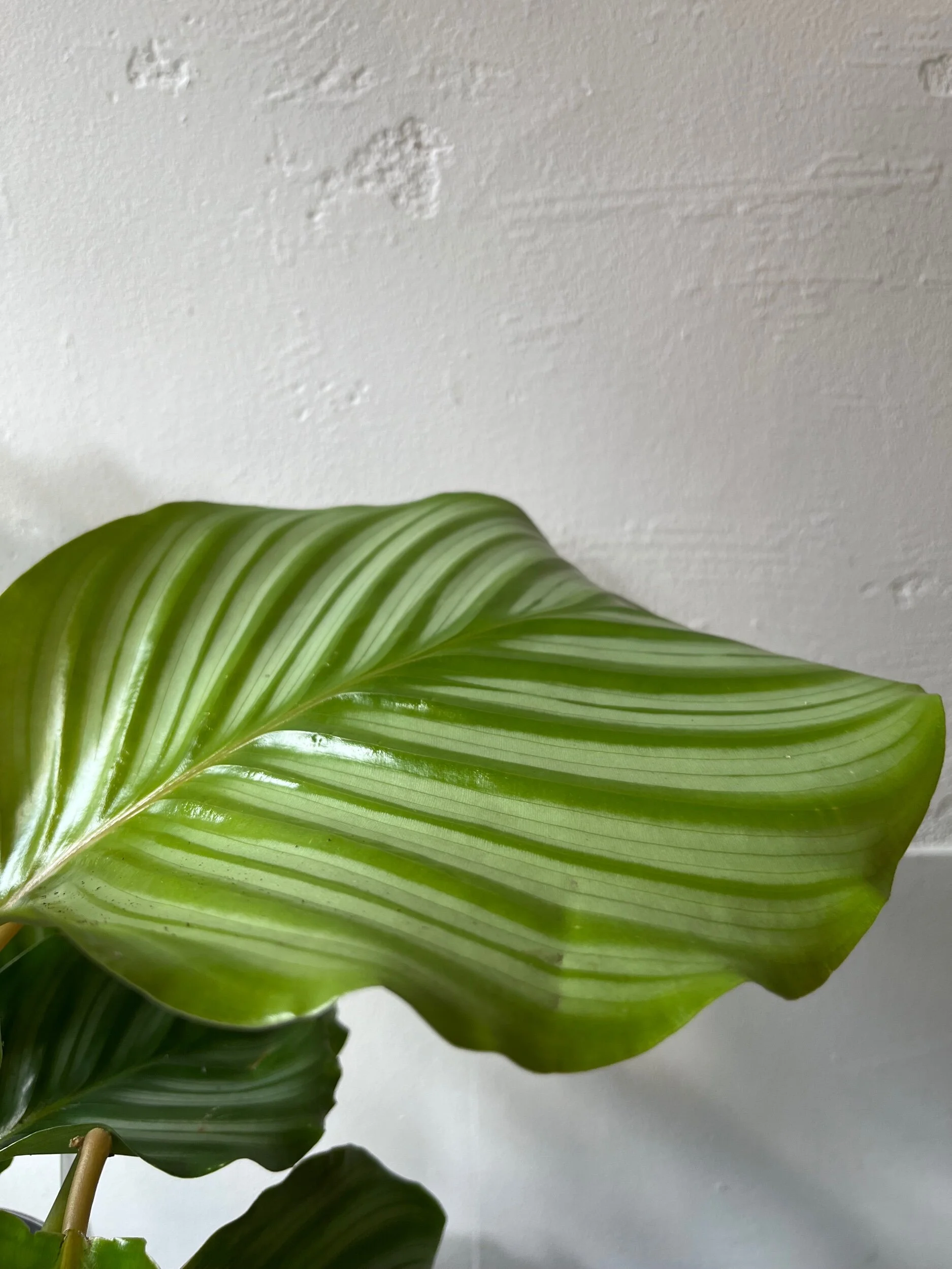 39A8373A-7F25-4480-B128-3BD310C78B93