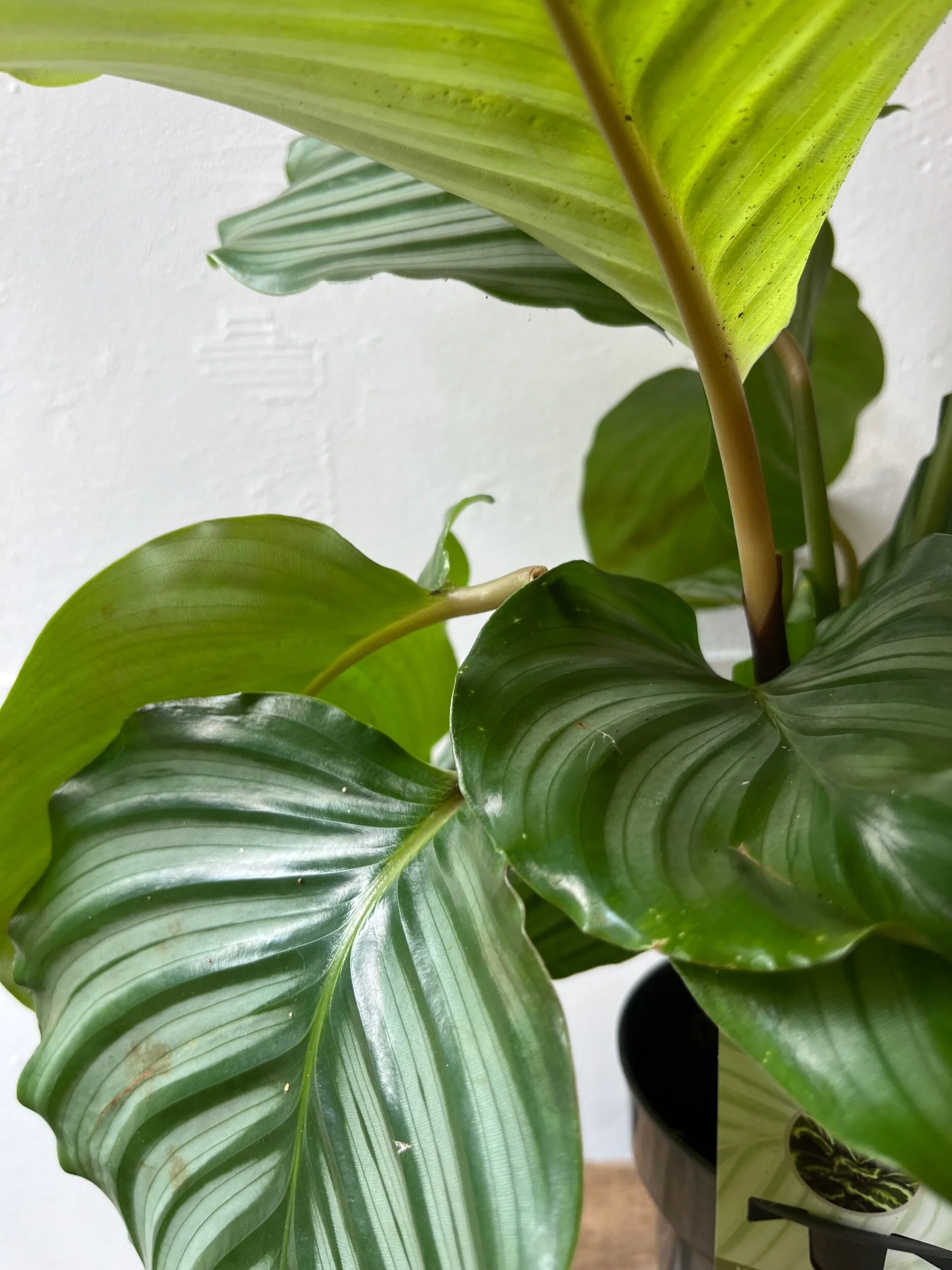 1410891B-C9A9-4A4F-917C-1B71DBD80068