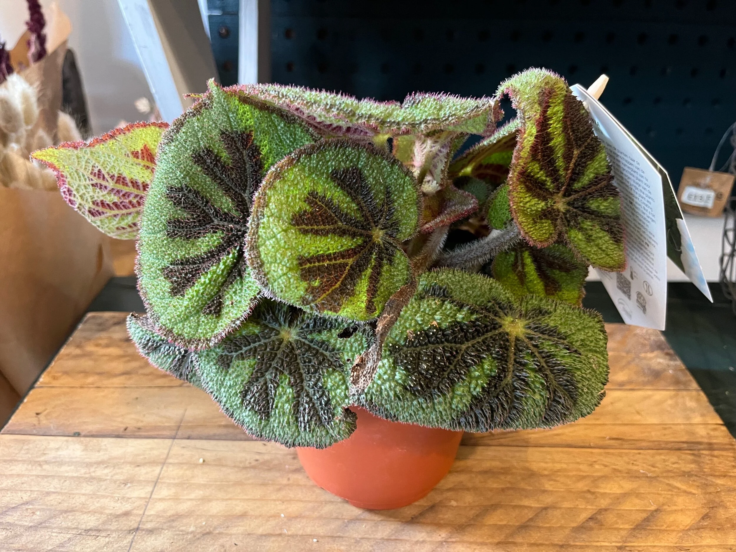D56E7712-9762-480F-90ED-3117657078AB