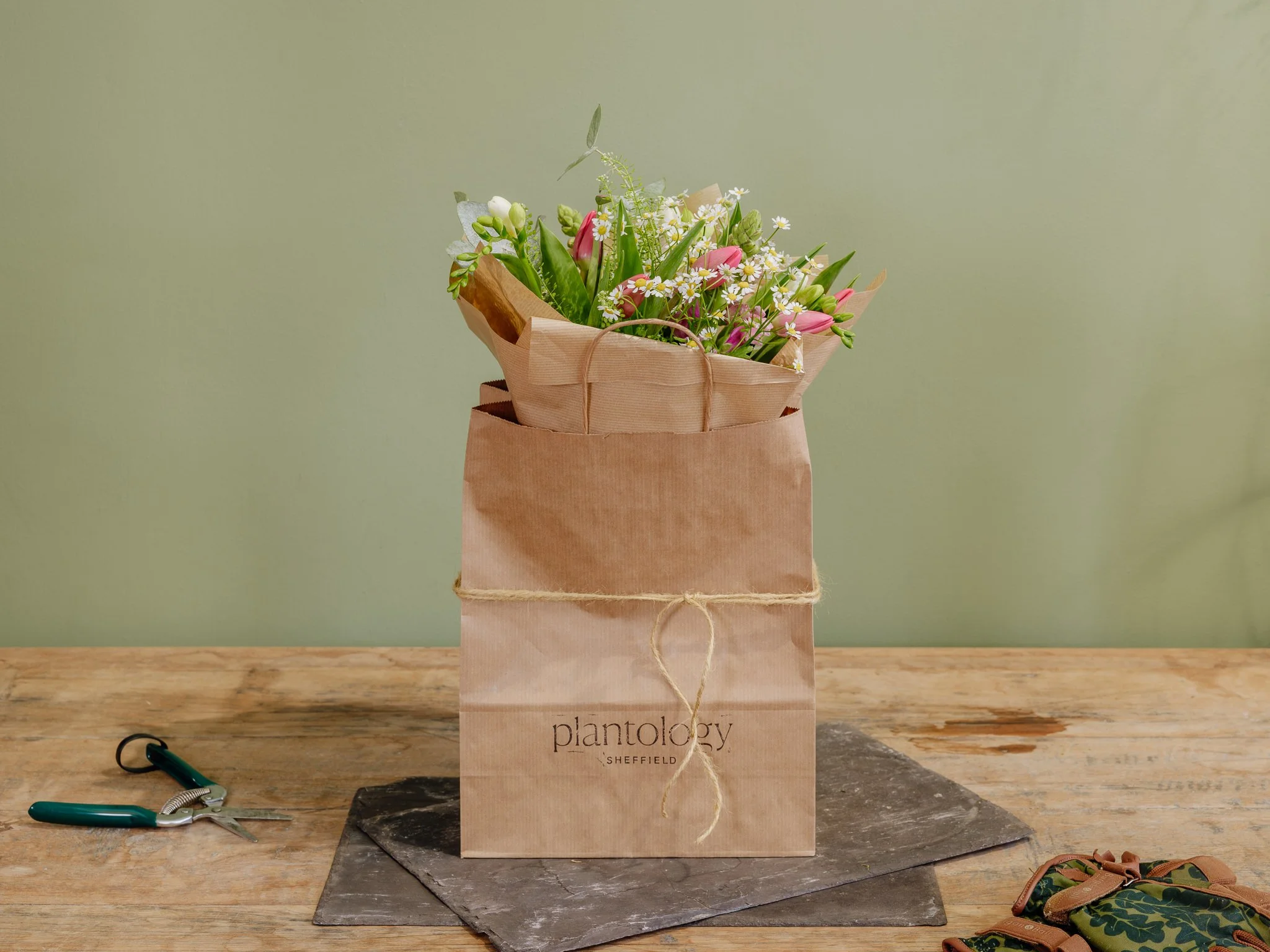 Plantology - Jan 2024 -39.jpg