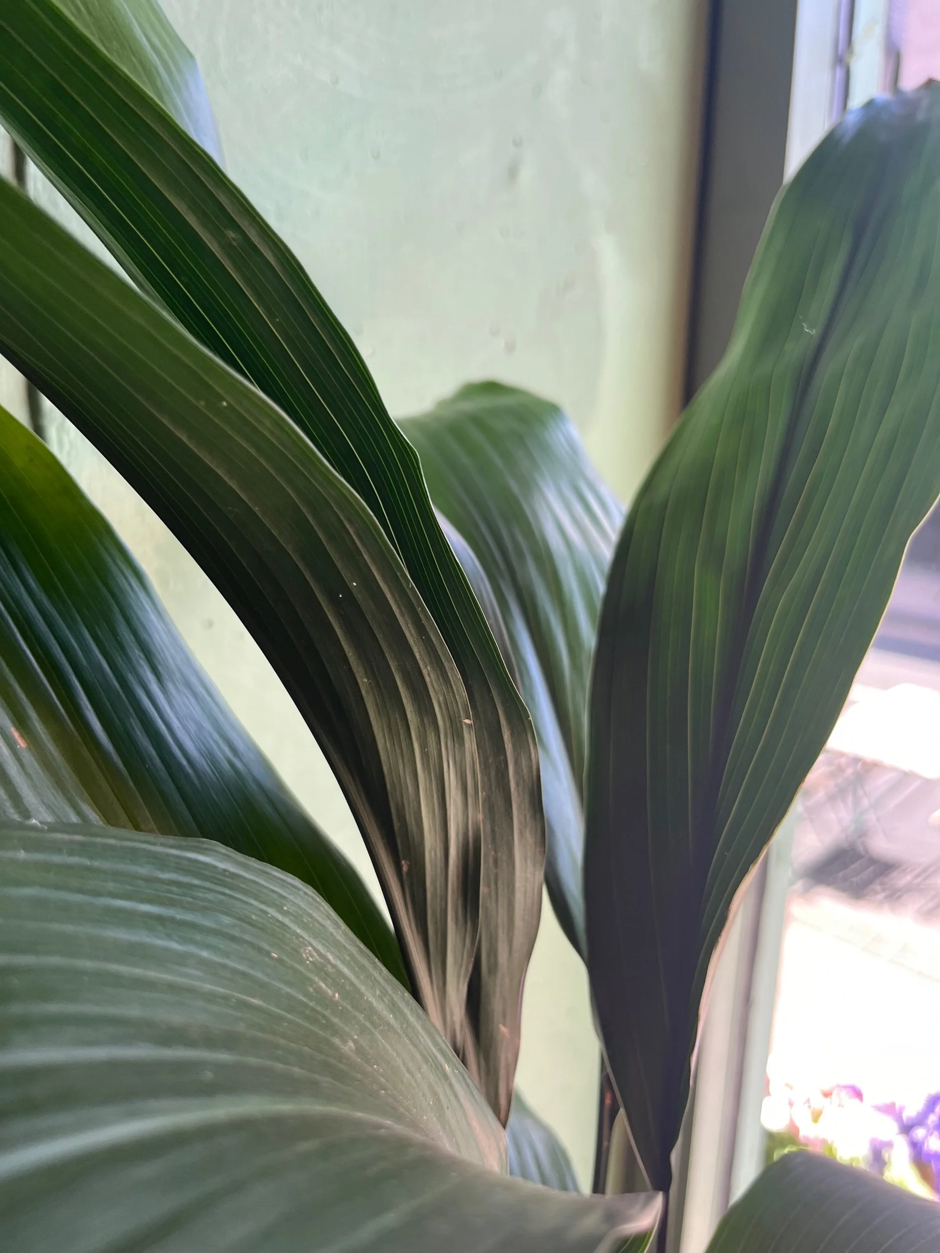 FED40B29-B82D-4780-BF34-586B9E63D29E