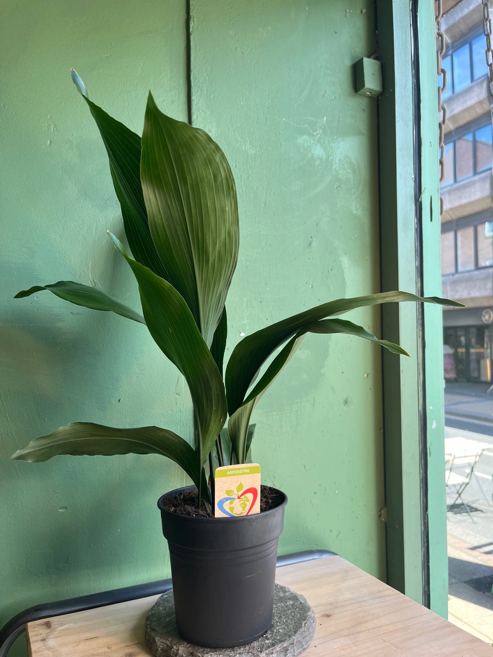 2050AC3F-6961-4A81-9A4B-509D26699F56