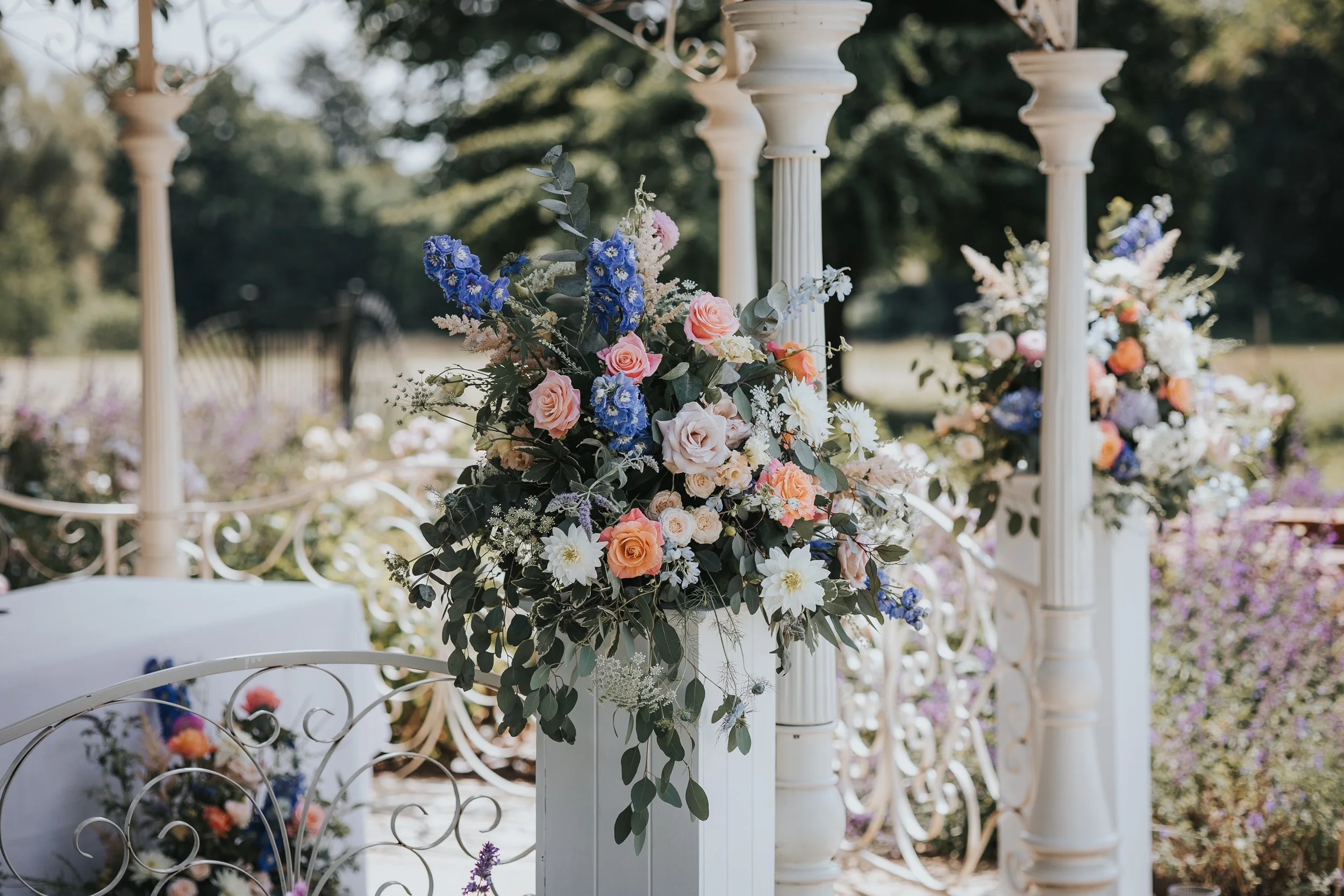 Abi &amp; Luke - Norwood Park