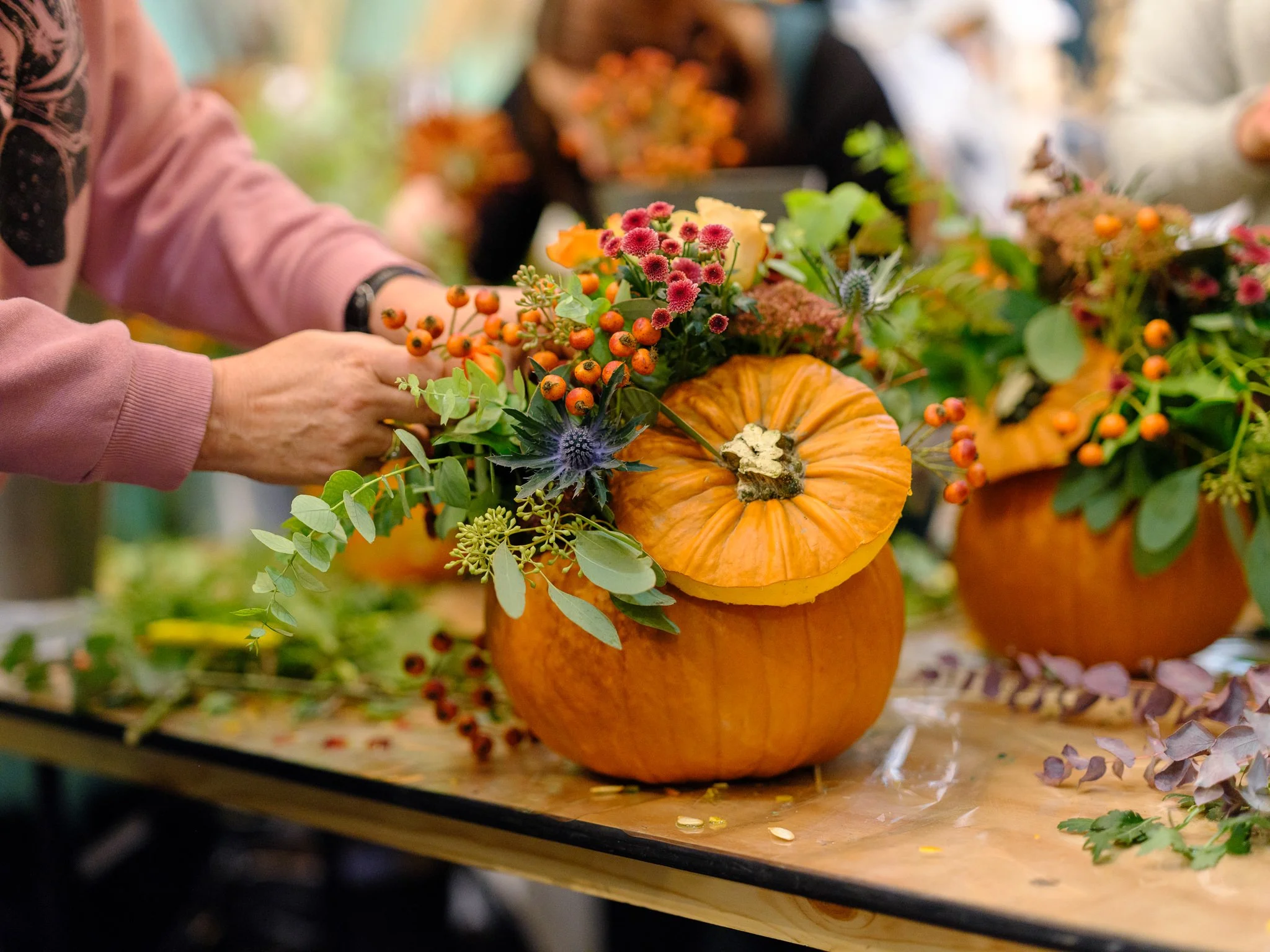 Plantology Pumpkin-72.jpg