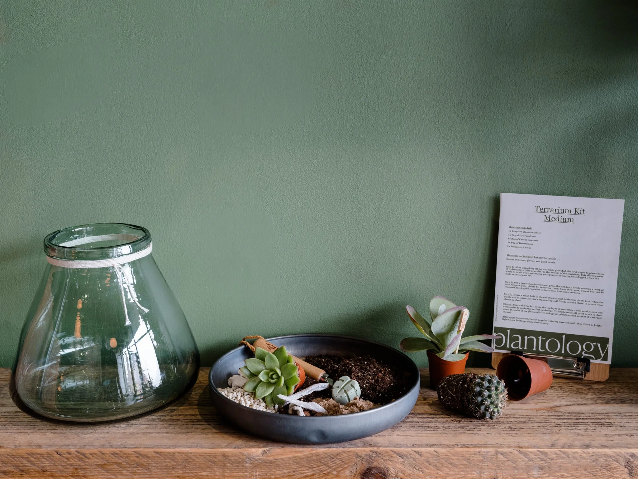 Plantology - June-56.jpg
