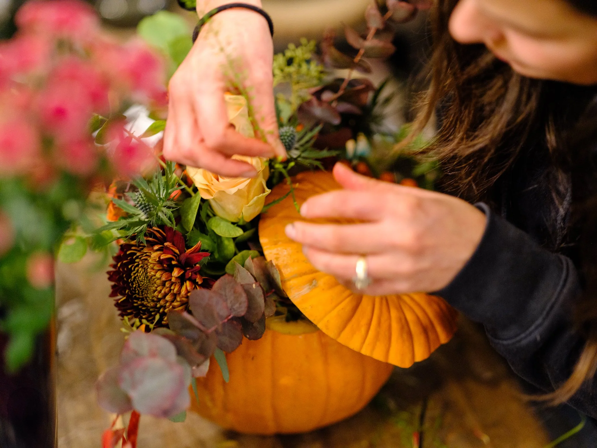 Plantology Pumpkin-70.jpg