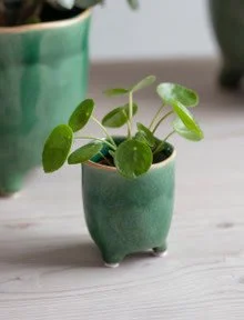 Positano pot forest green - 7.2cm