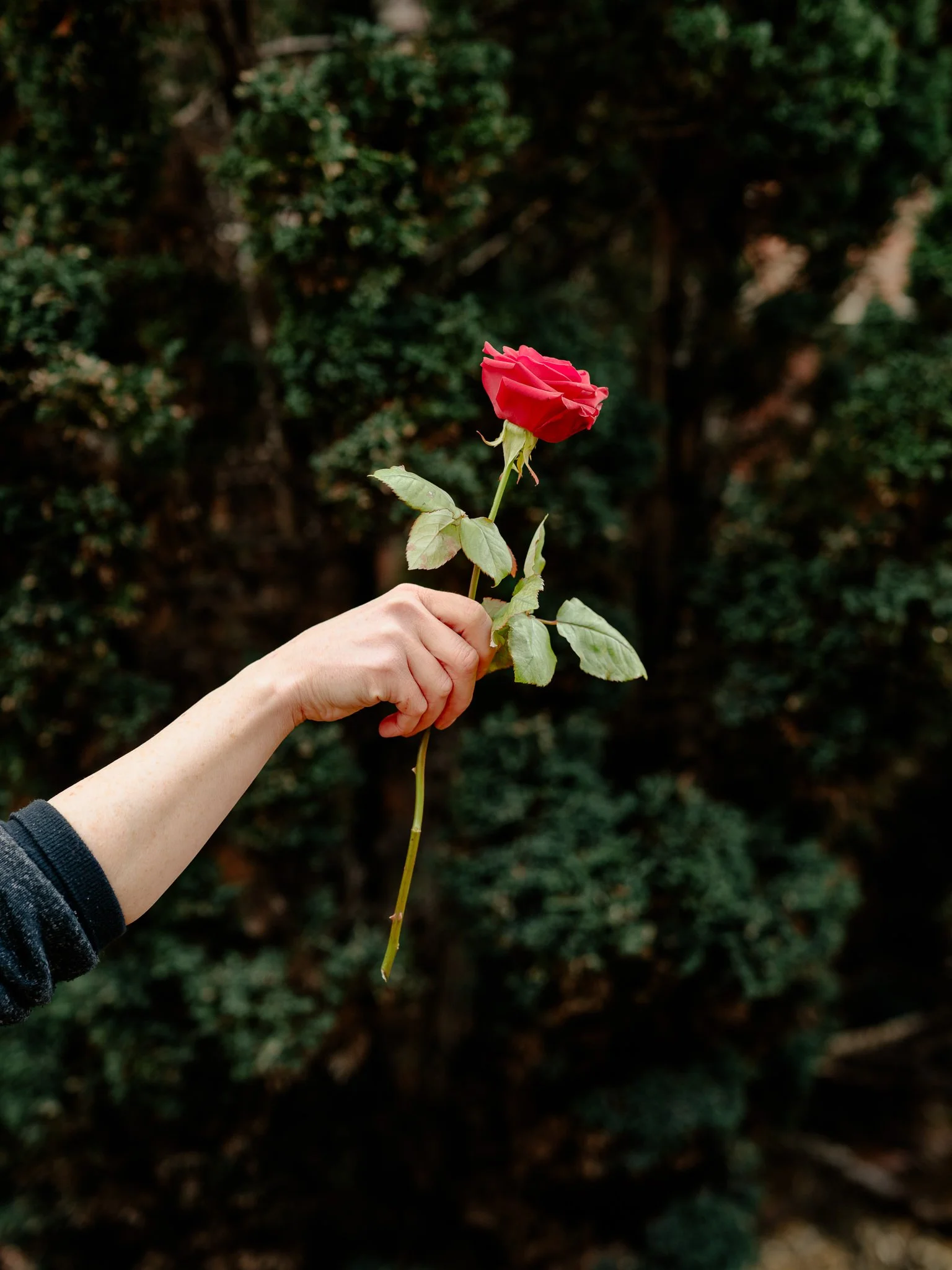 Plantology Jan 2025-177.jpg