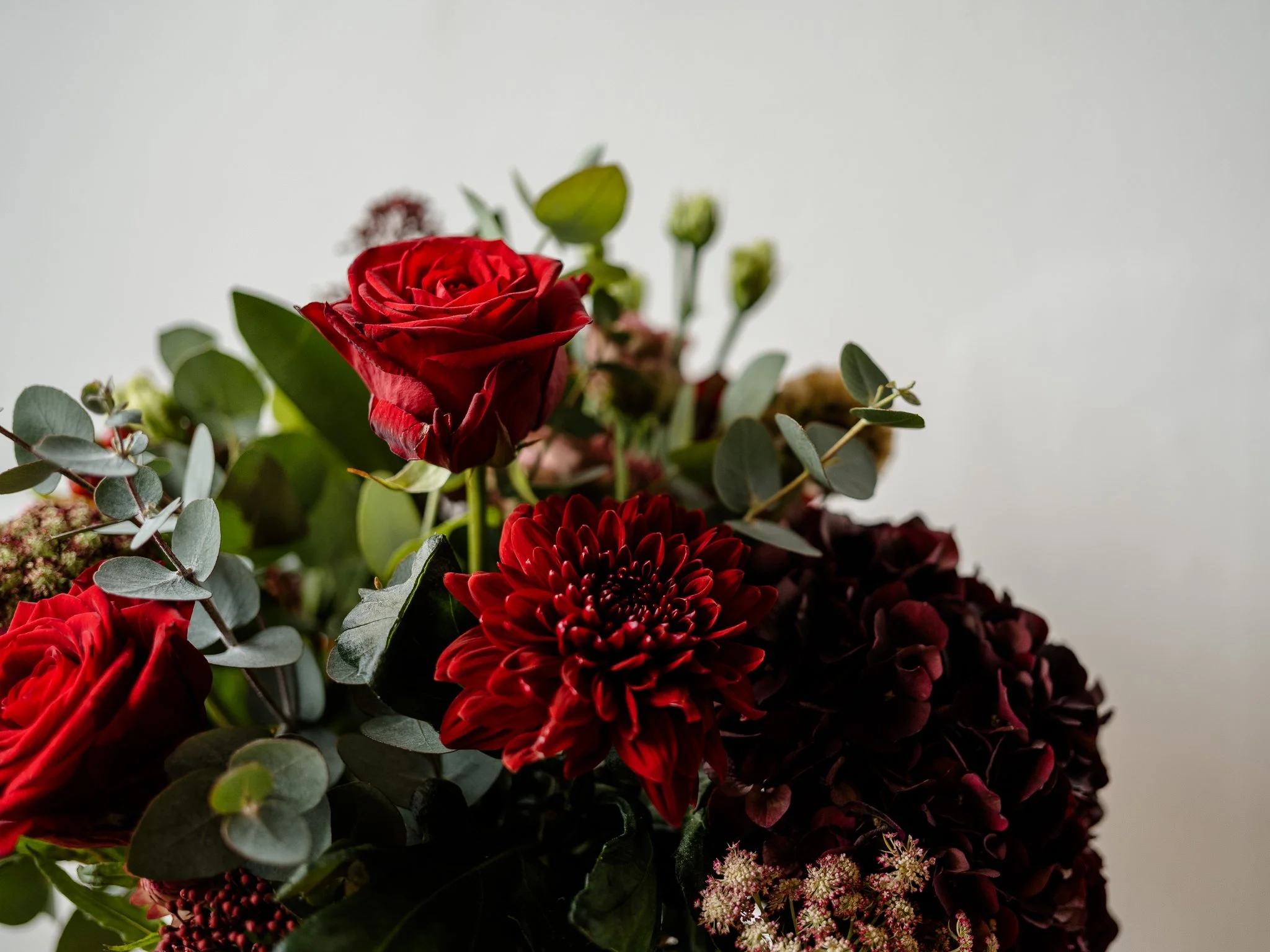 Plantology - November-24.jpg