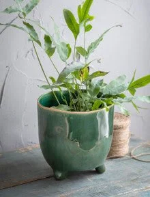 Positano Pot 20cm Forest Green.jpg
