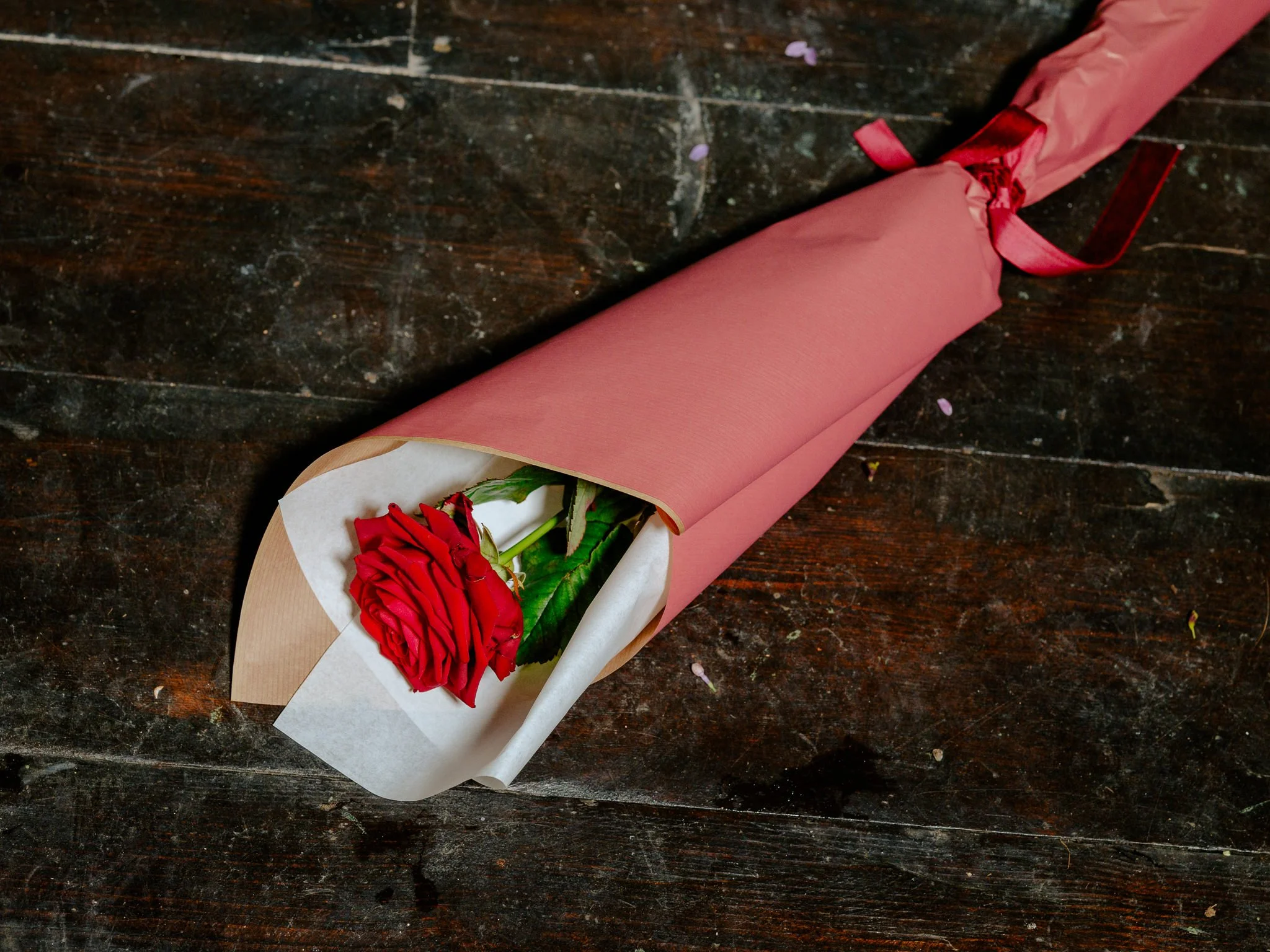 Plantology Jan 2025-174.jpg