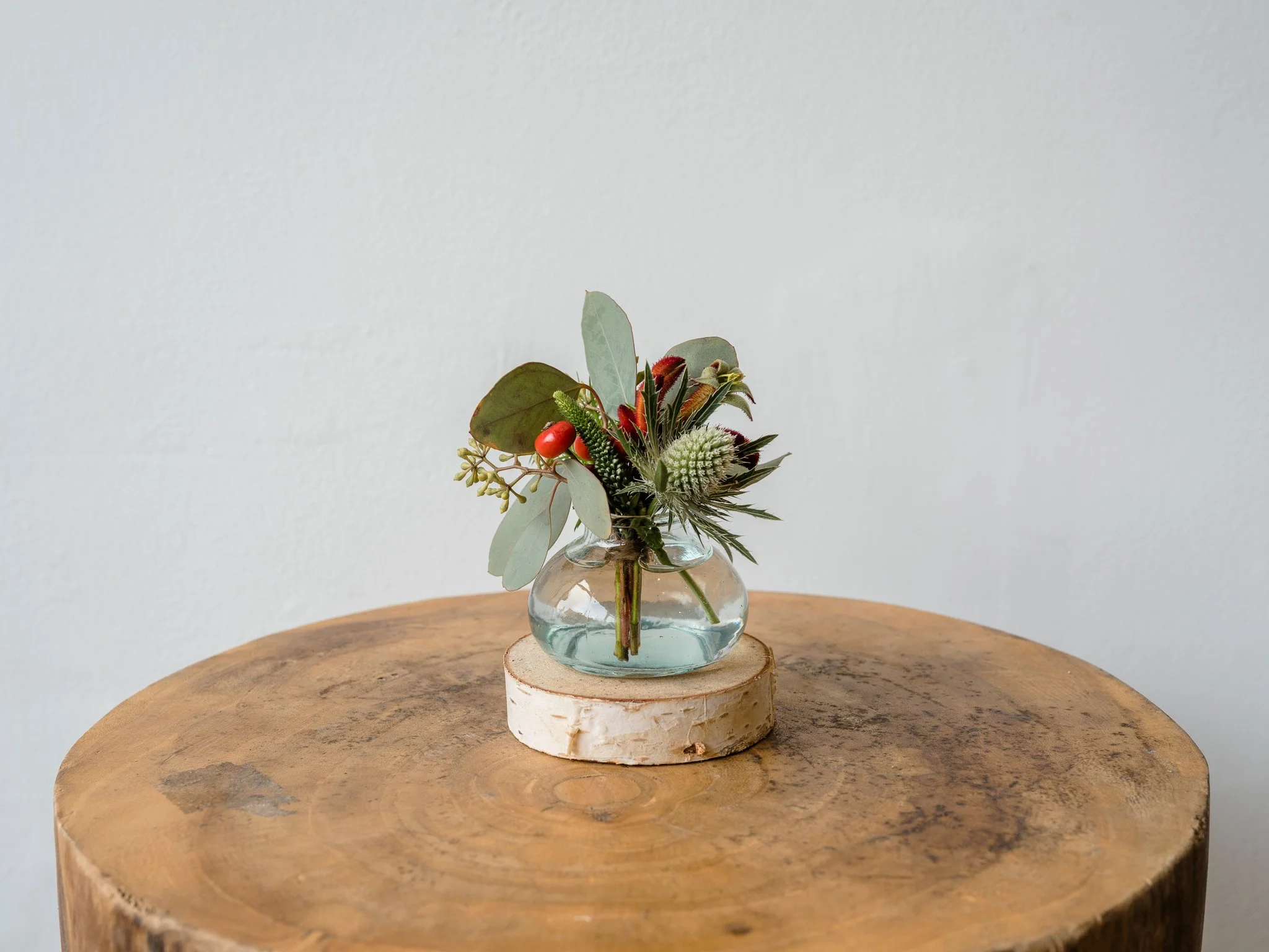 Plantology - November-50.jpg