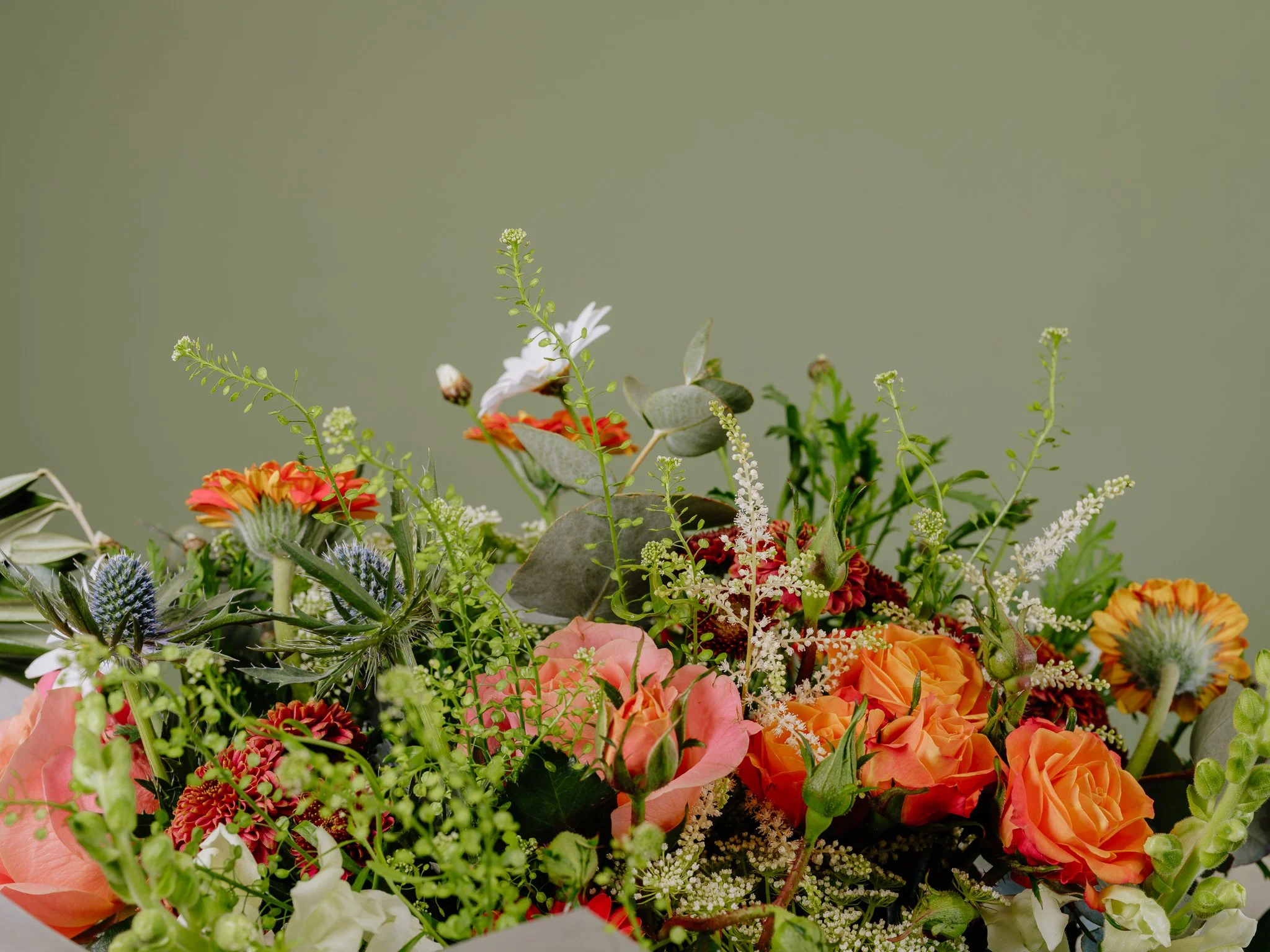 Plantology - Jan 2024 -23.jpg