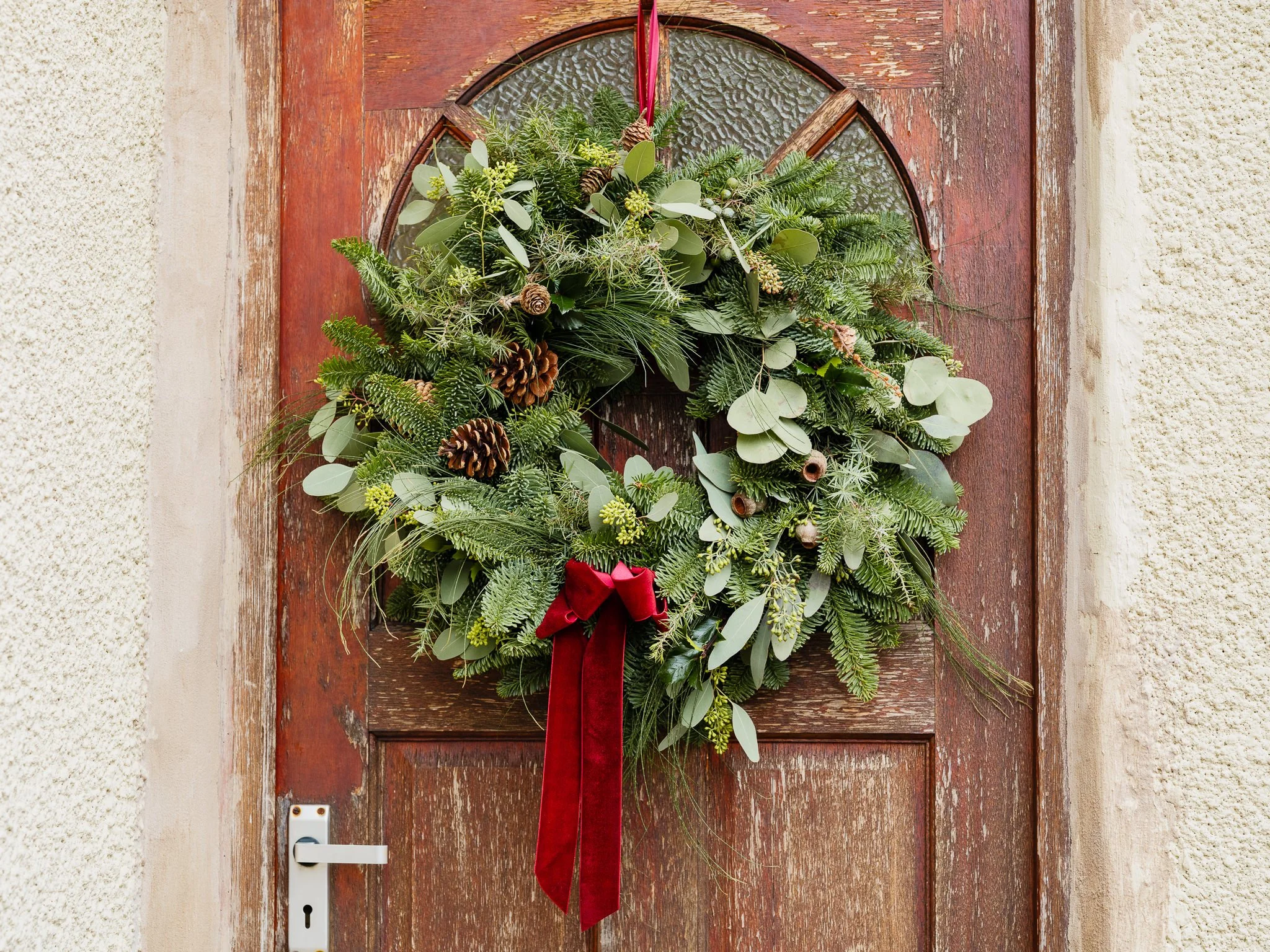 Plantology Xmas-28.jpg